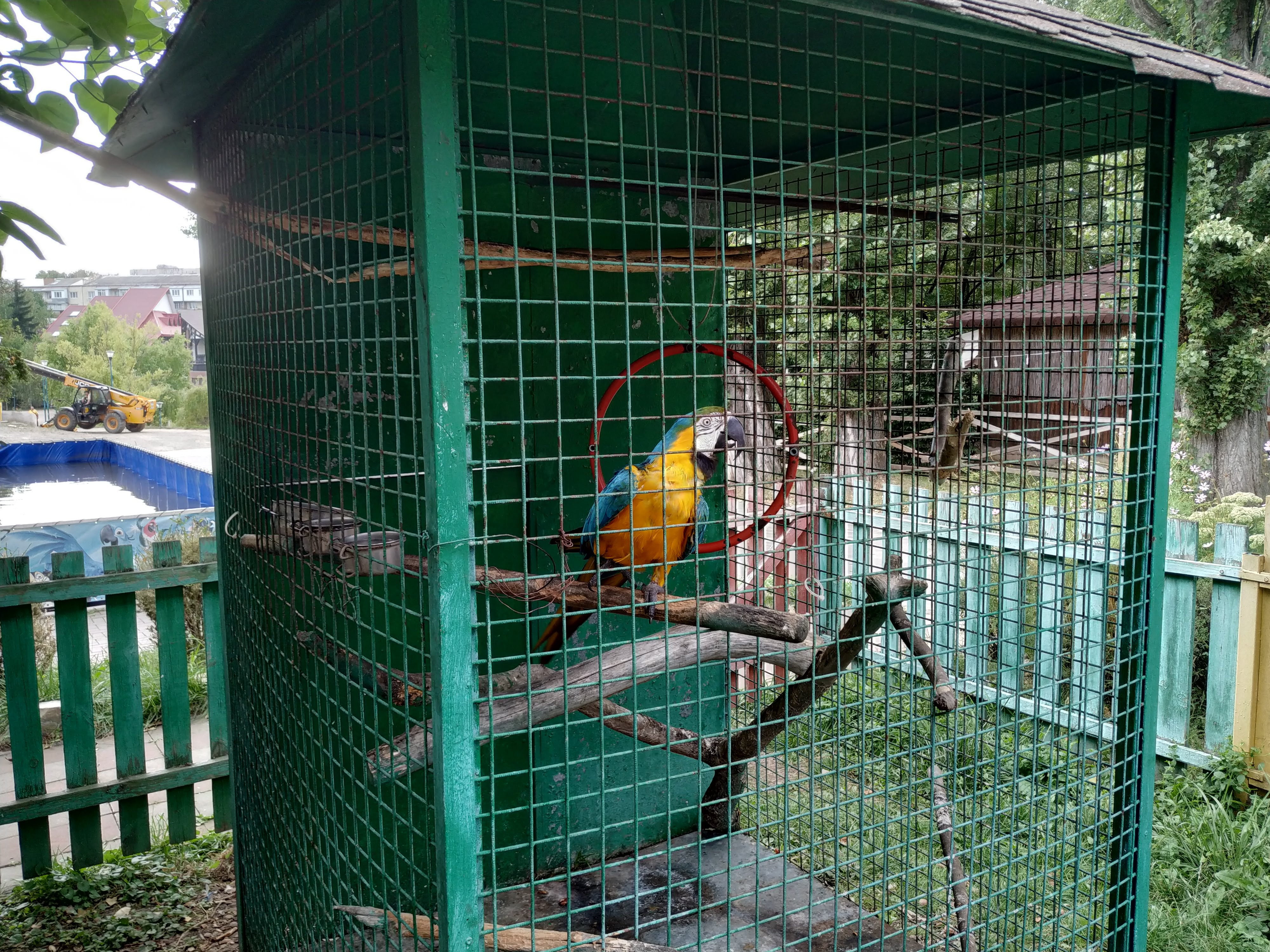 Комплекс синій Папуга. Ресторан"Park House" image 4