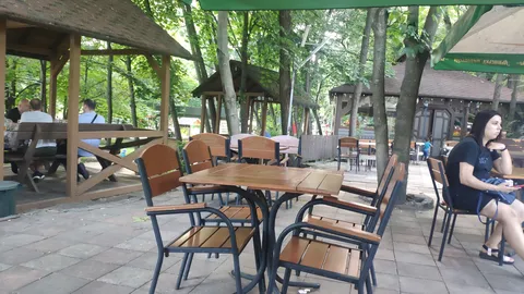 Комплекс синій Папуга. Ресторан"Park House" image 7