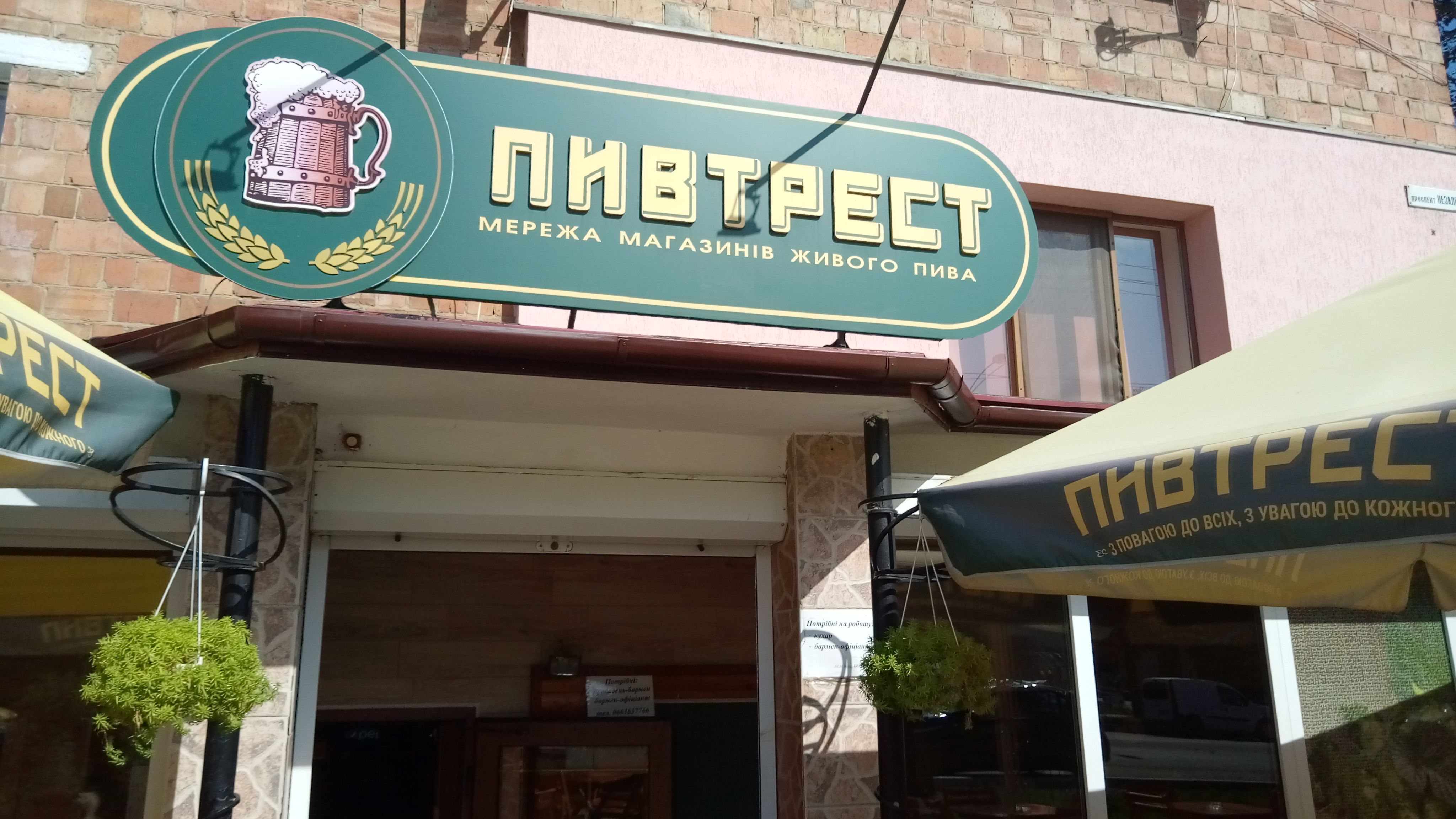 Пивтрест image 7