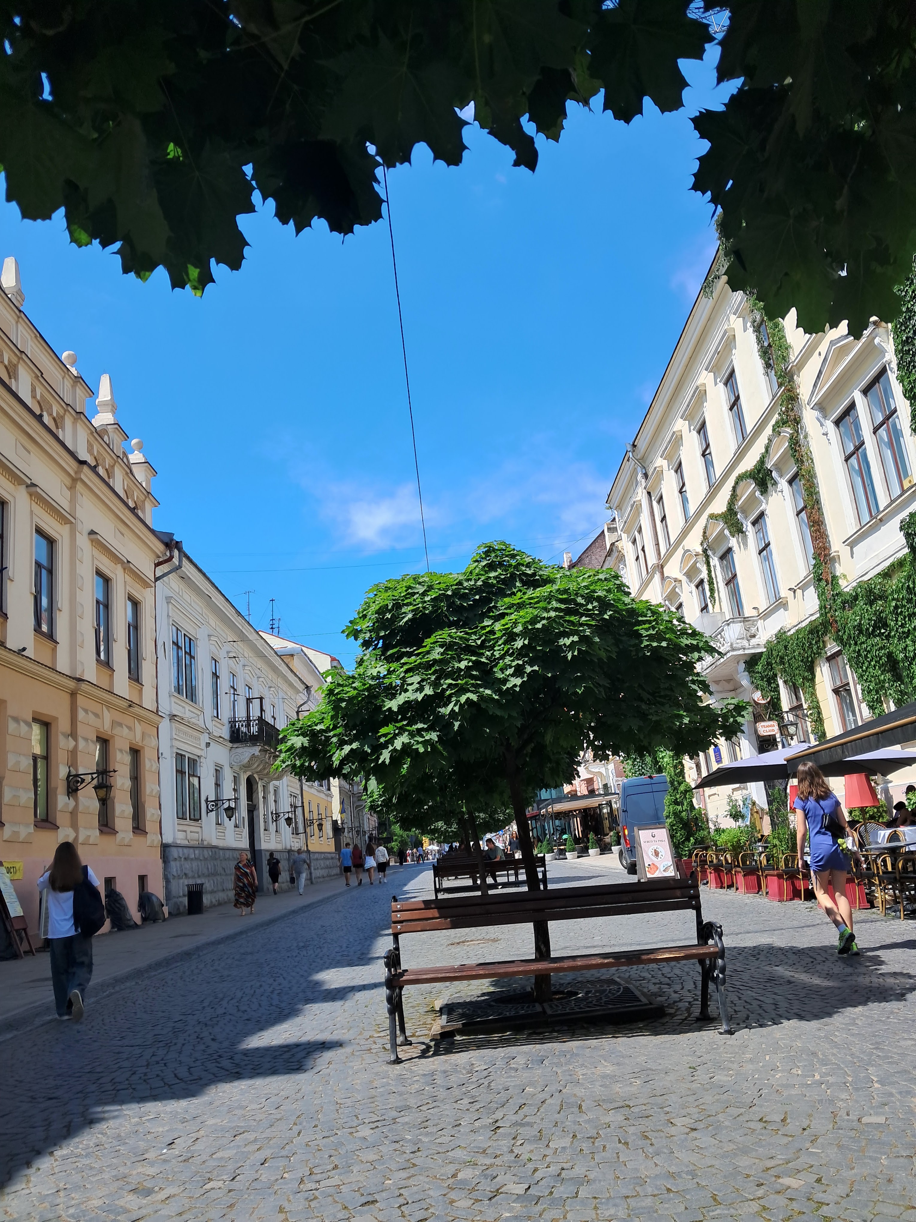 Віденська Кав'ярня image 7