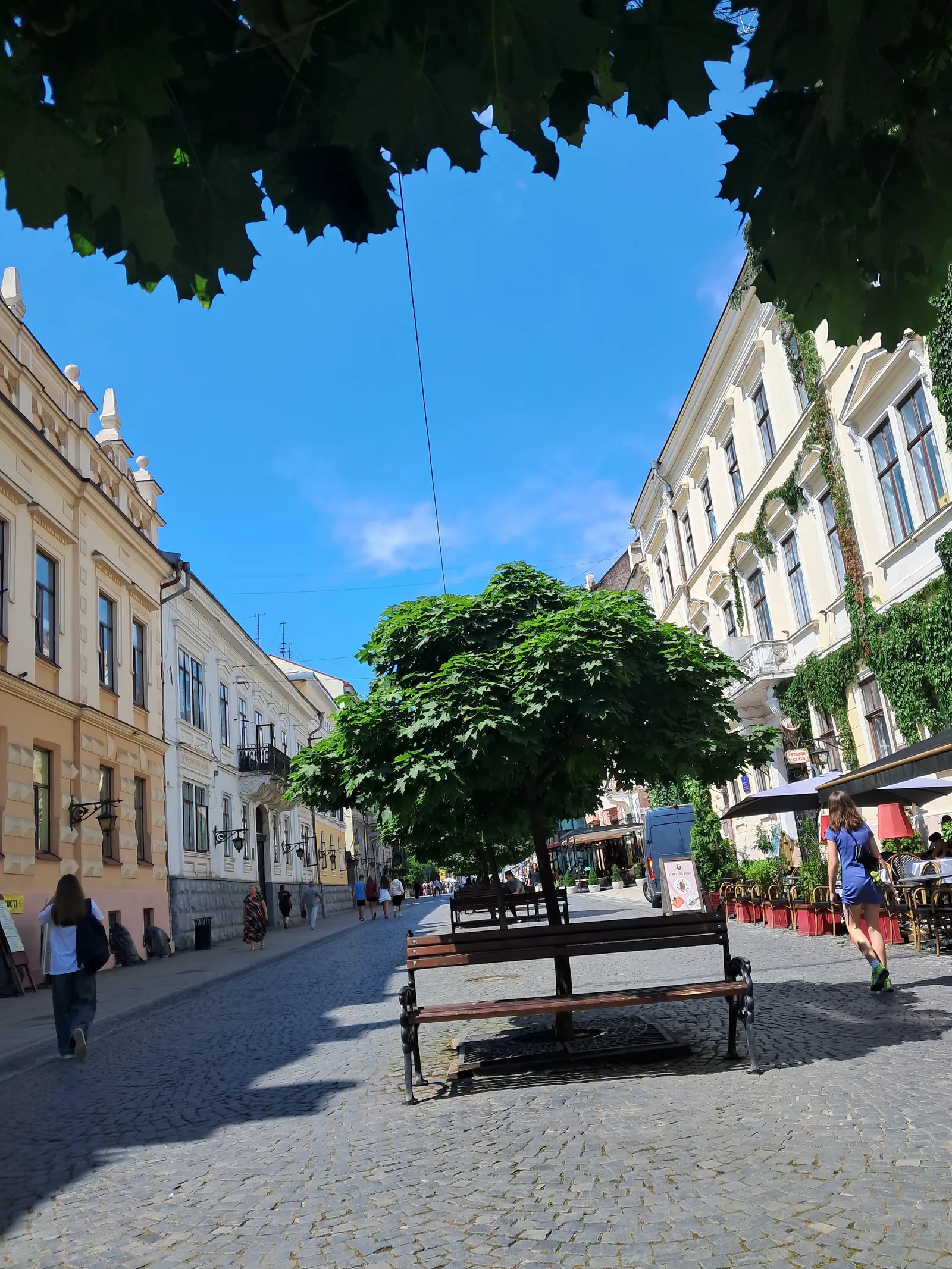 Віденська Кав'ярня image 7