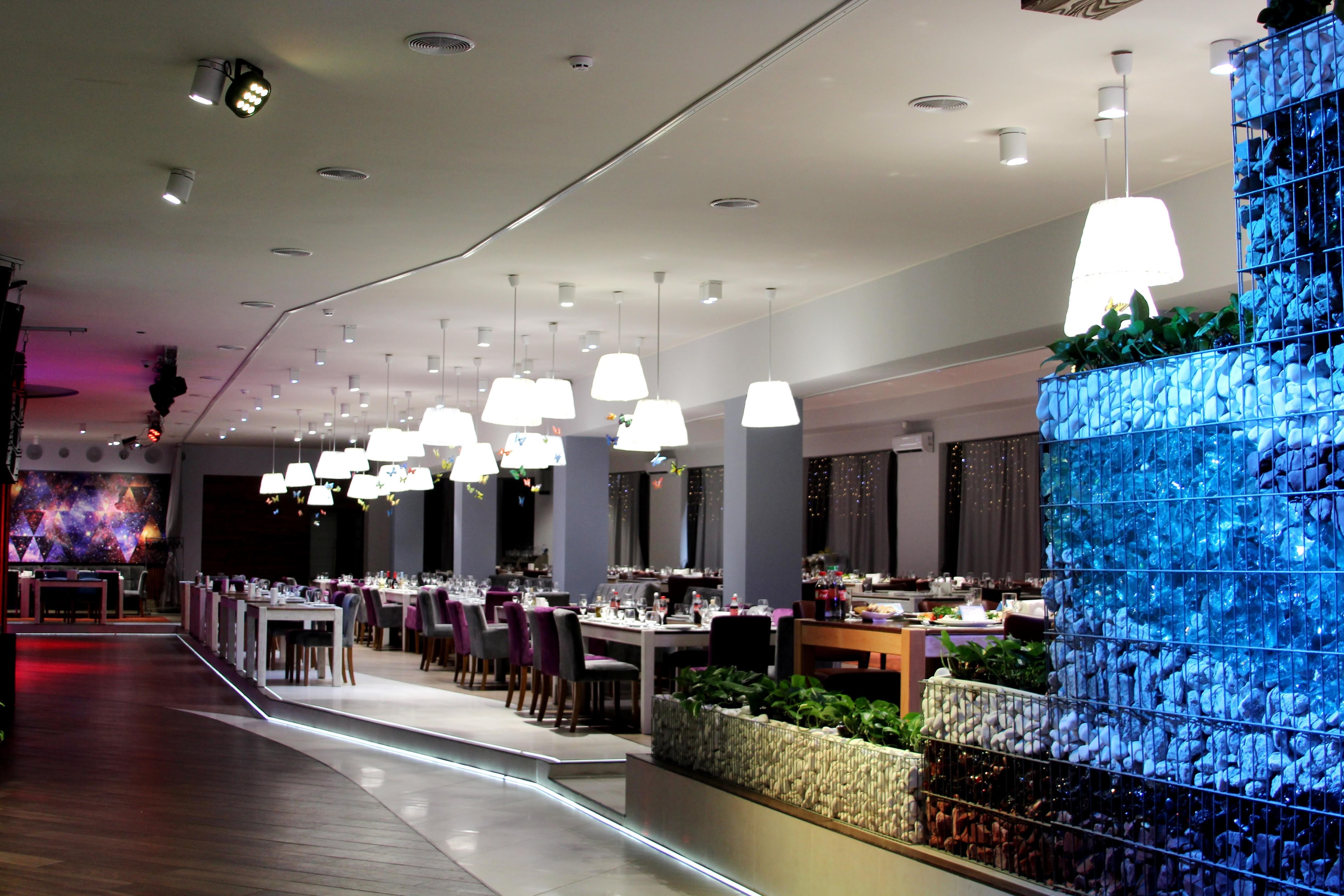 Пікнік | FloraClub | FloraPark image 1