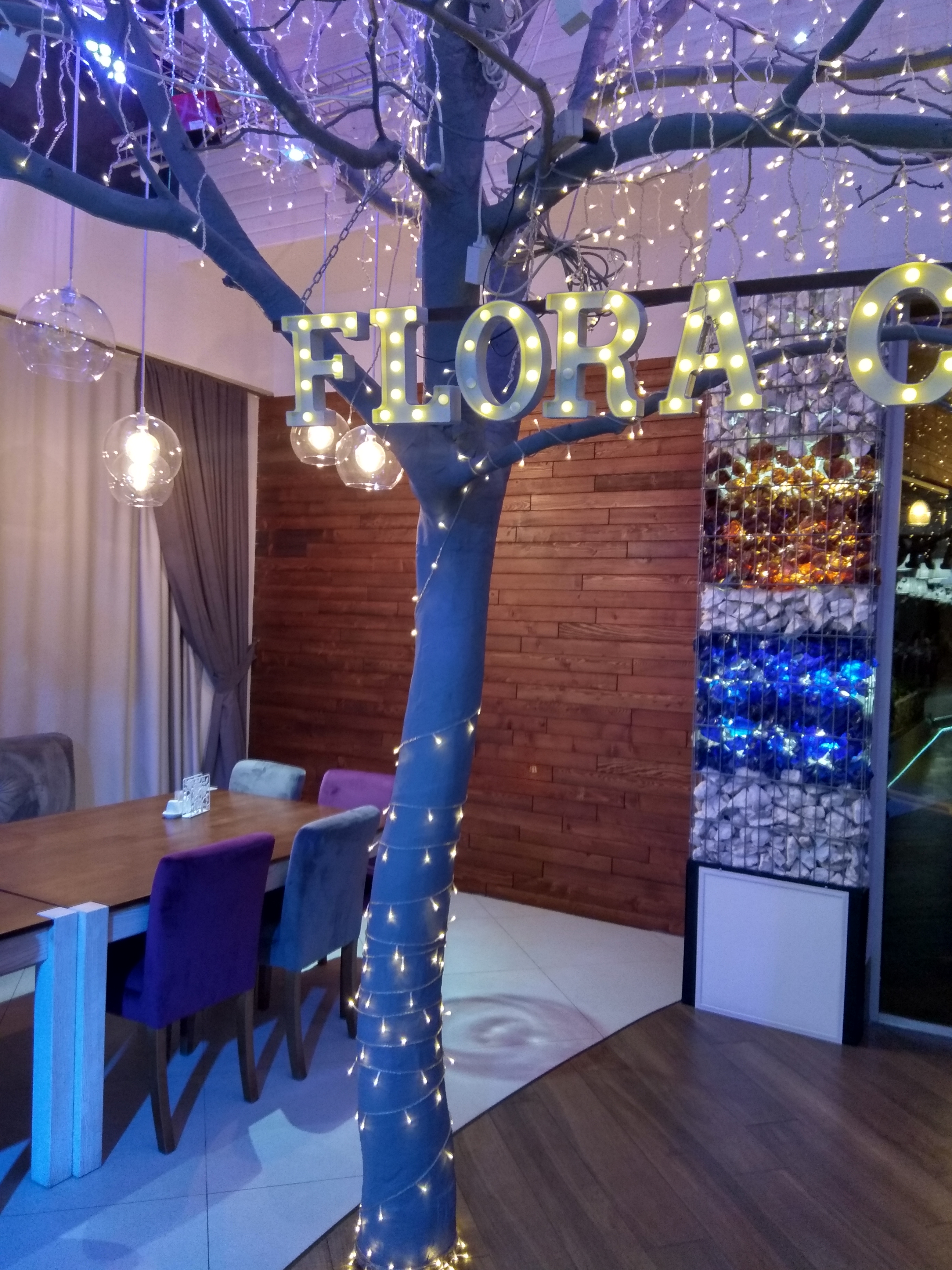 Пікнік | FloraClub | FloraPark image 8