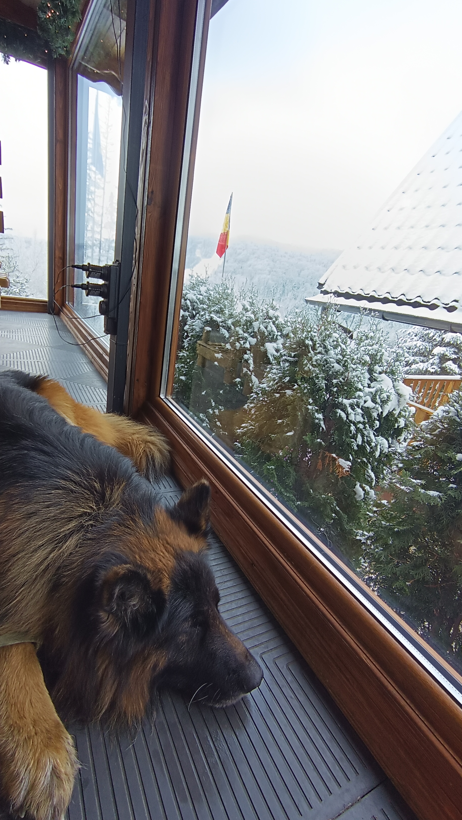 Колиба image 9