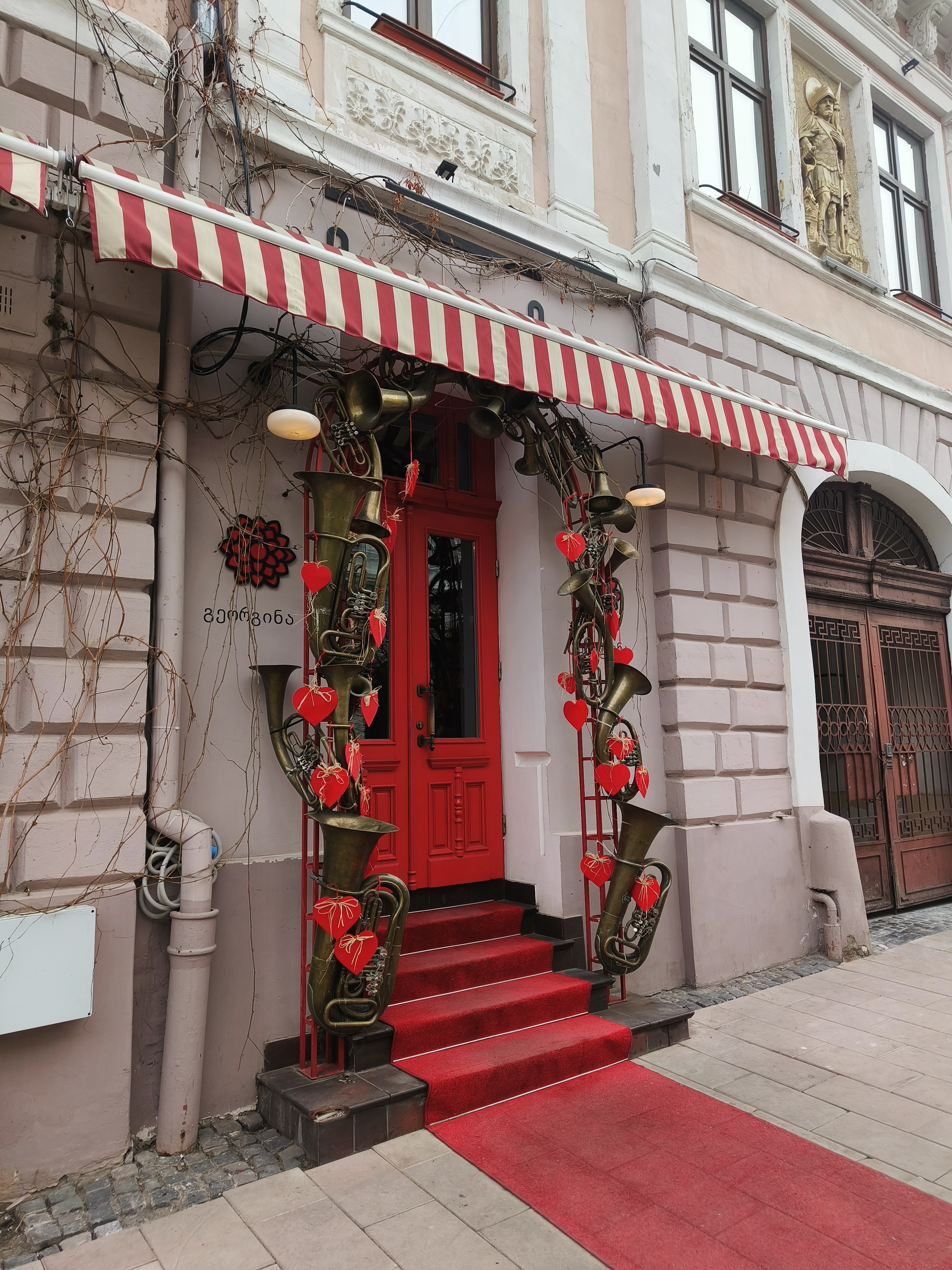 Джорджина image 6