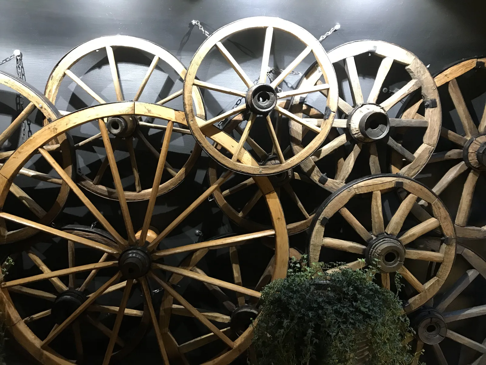 VINARIUM image 5