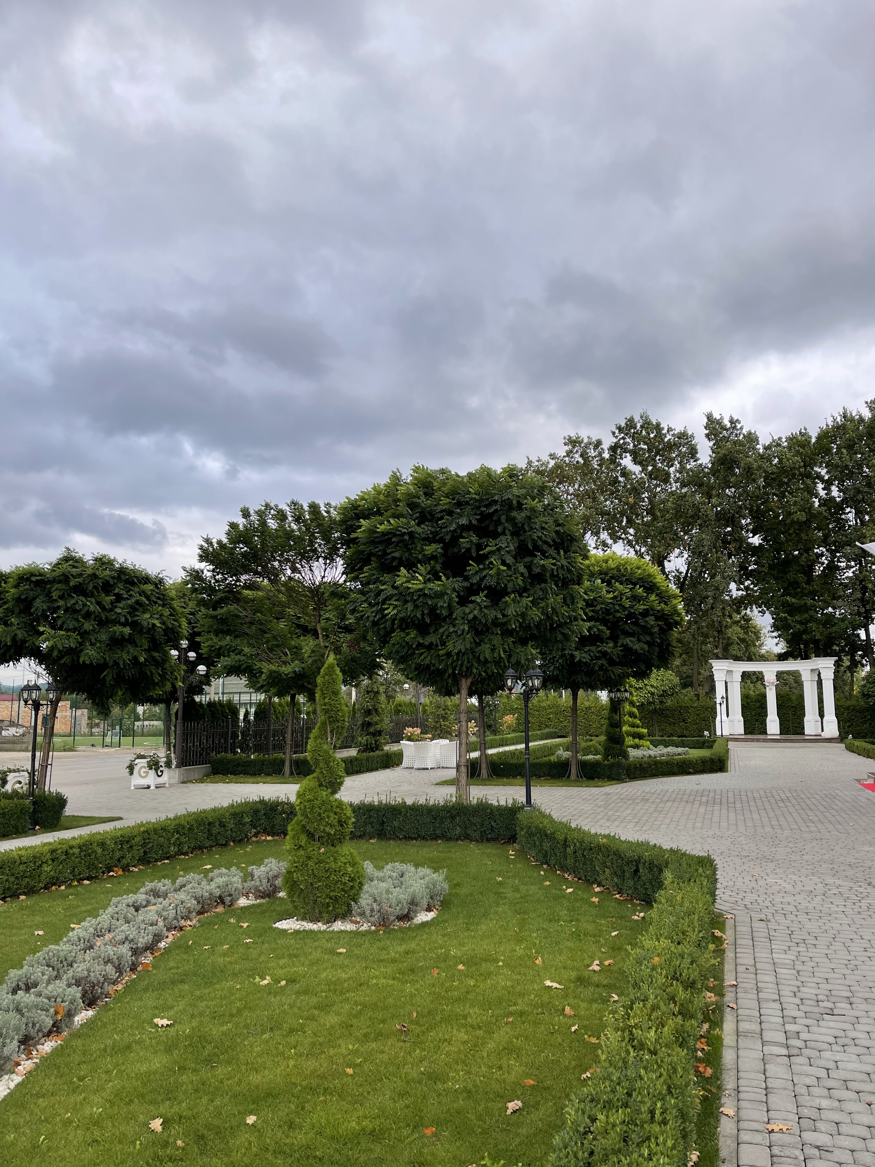 Grand Arystokrat image 9