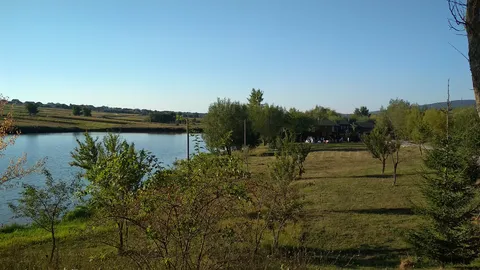 Pleso image 3