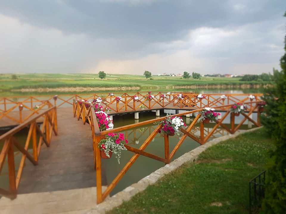 Pleso image 5