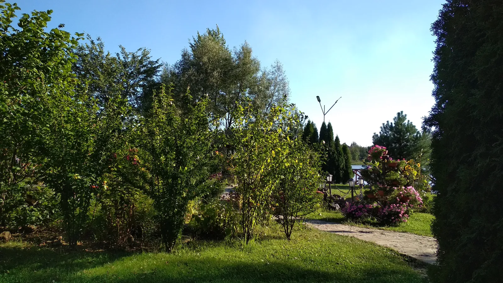 Pleso image 7