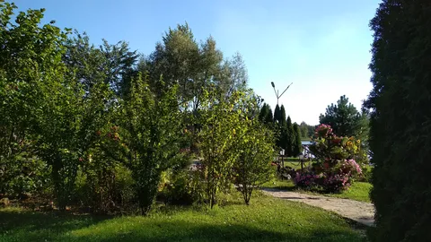 Pleso image 7