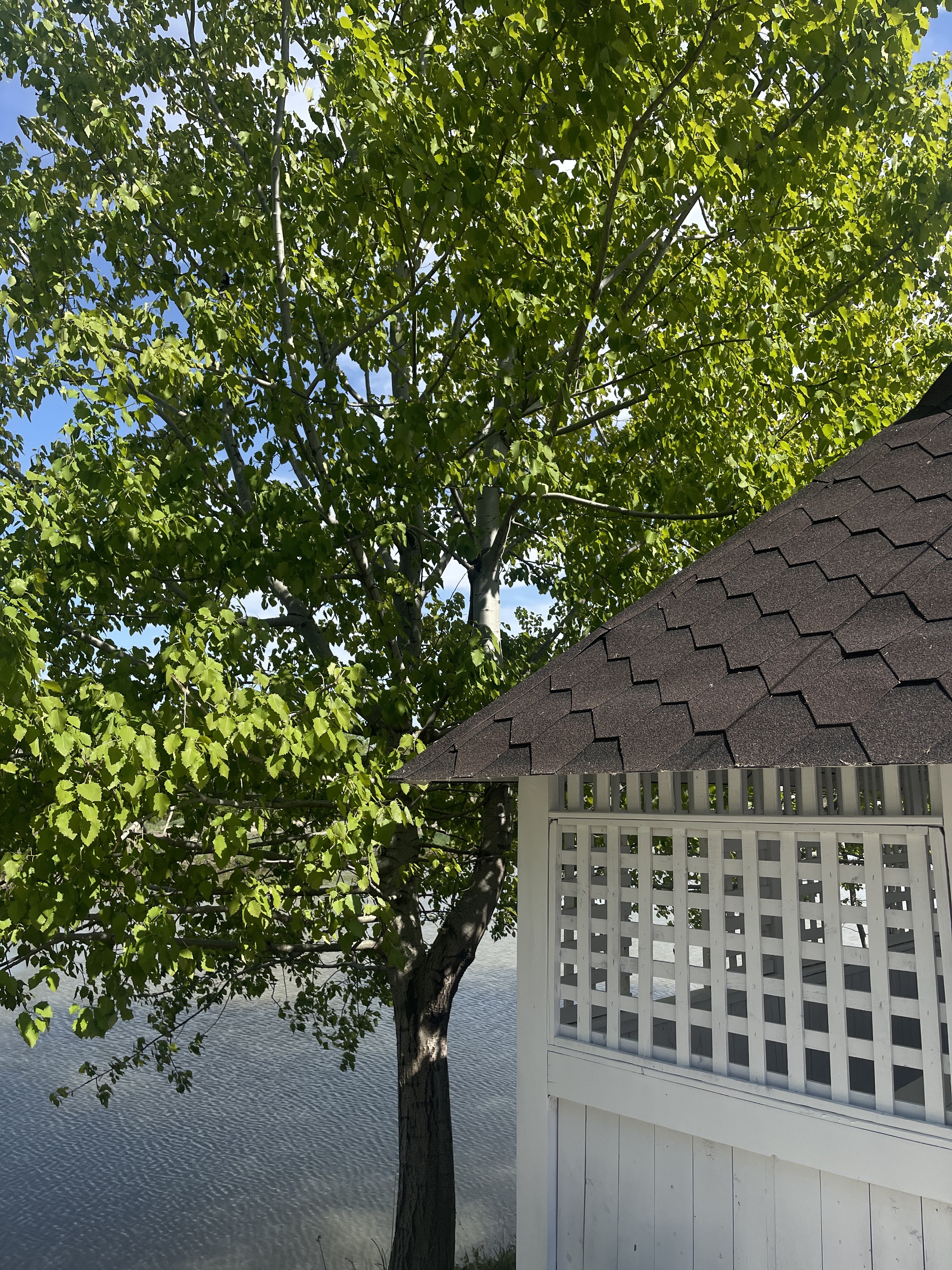 Dulcei Vinul image 7