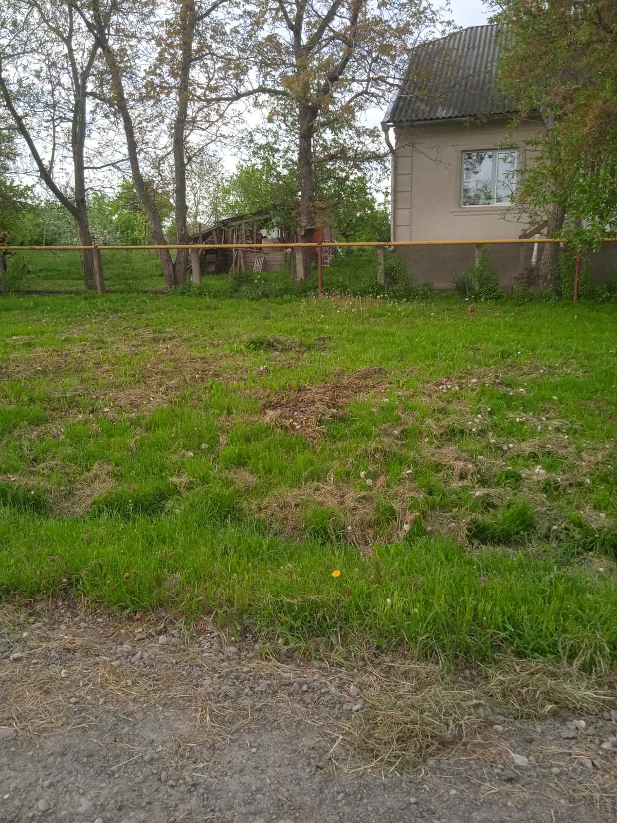 Кафе "Смак" image 3