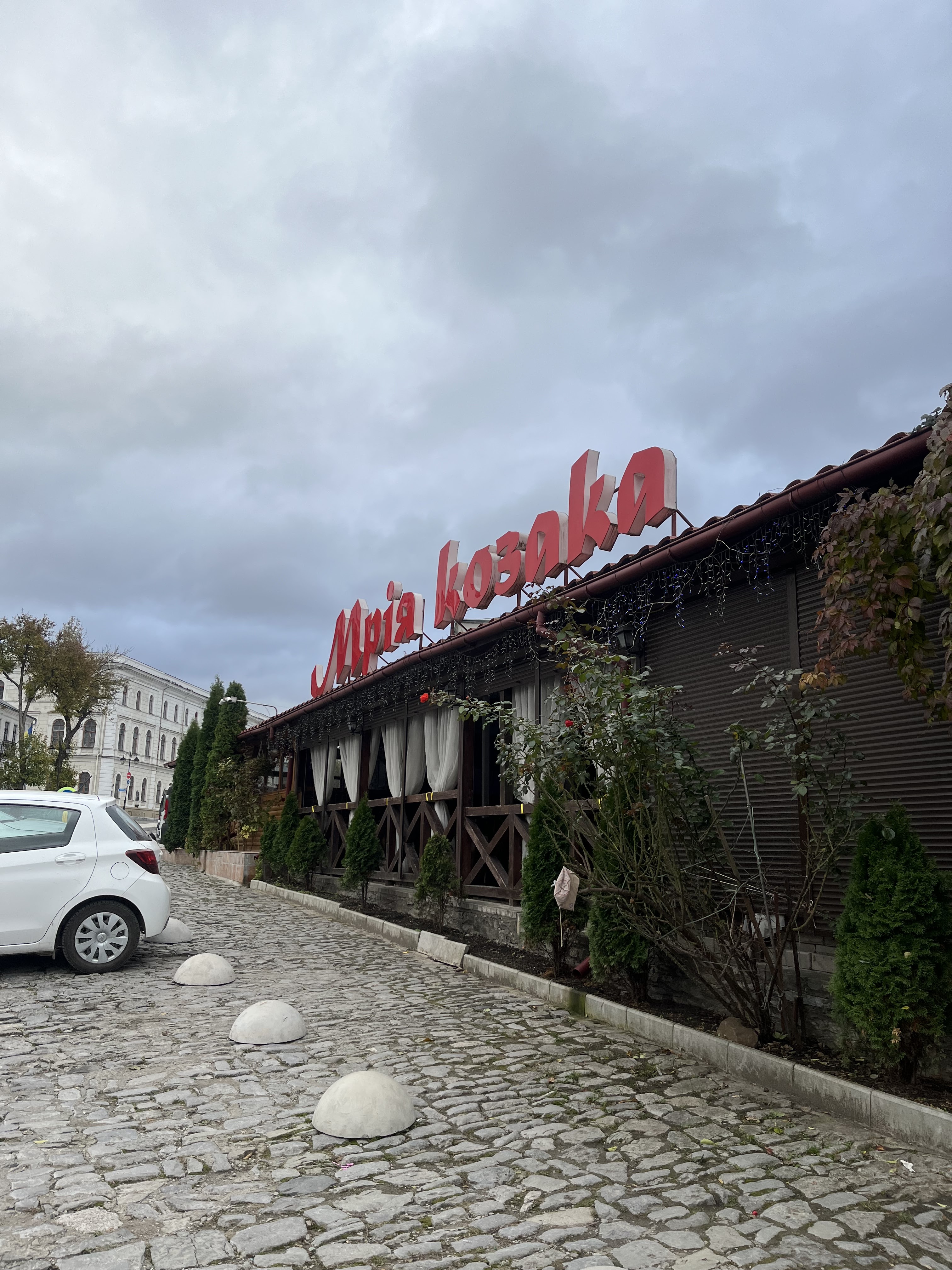 Dream Cossack image 4