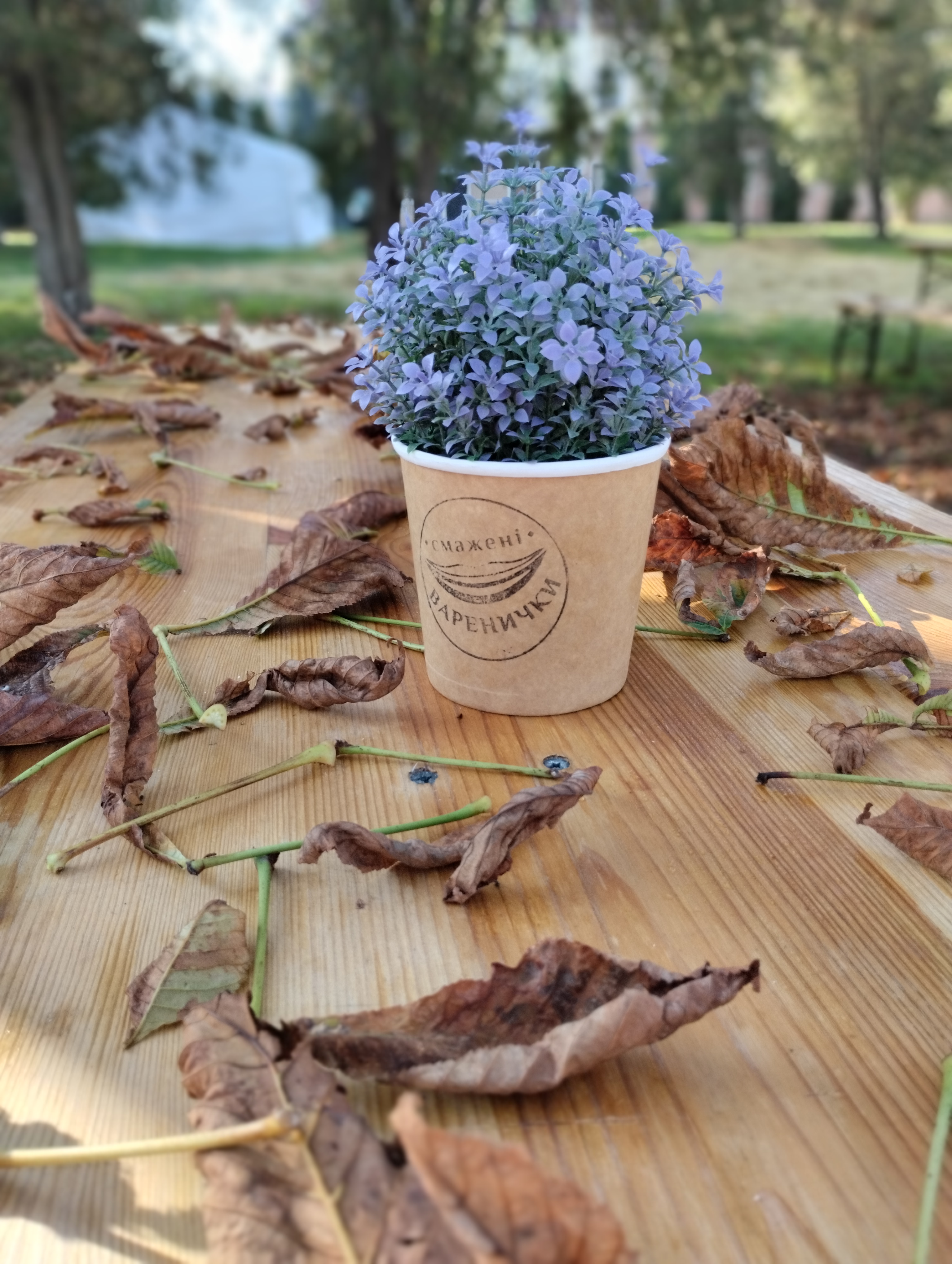 Smazheni Varenychky image 7