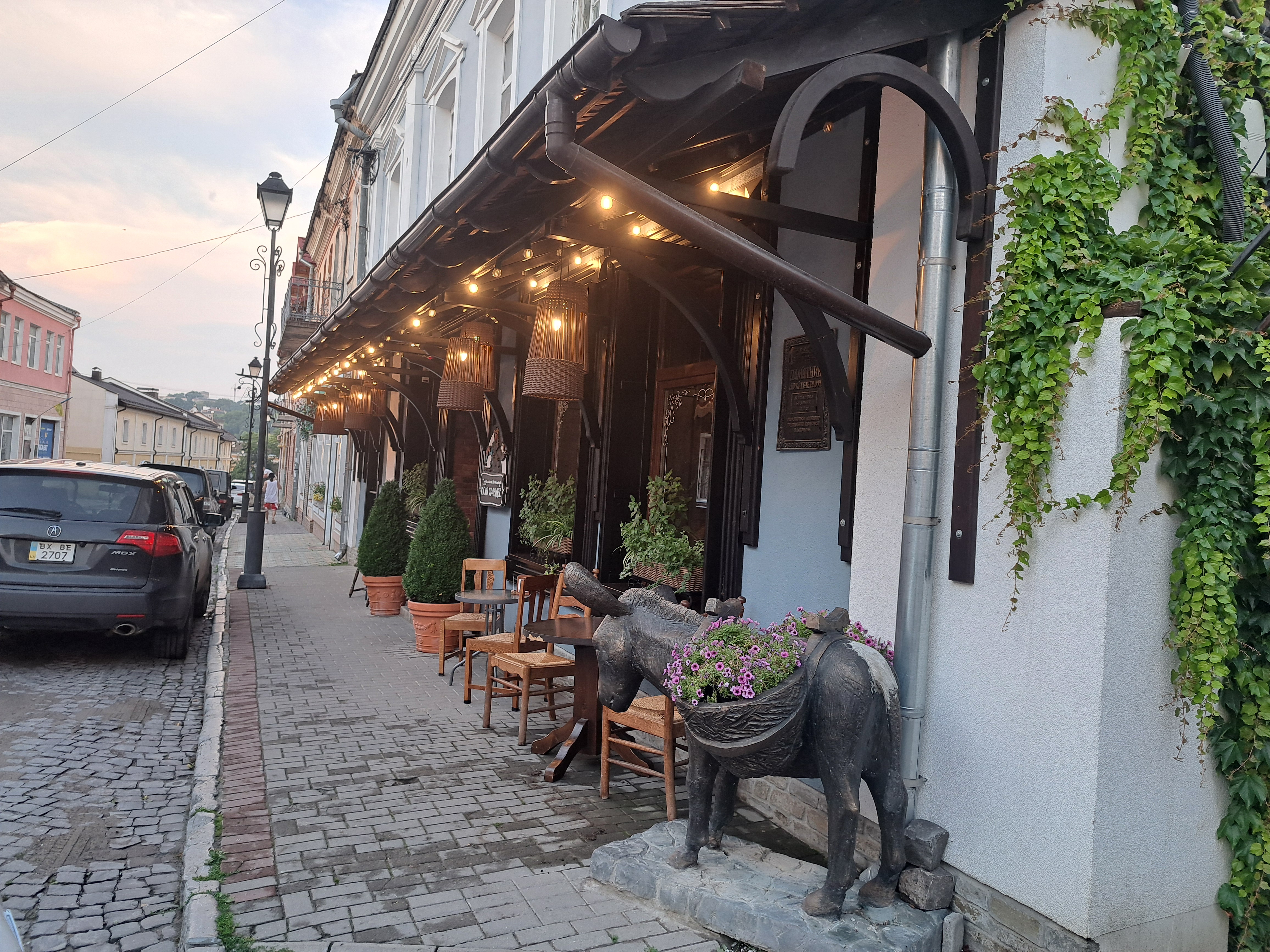 Hruzynsʹka Restoratsiya Moni Svanidze image 10