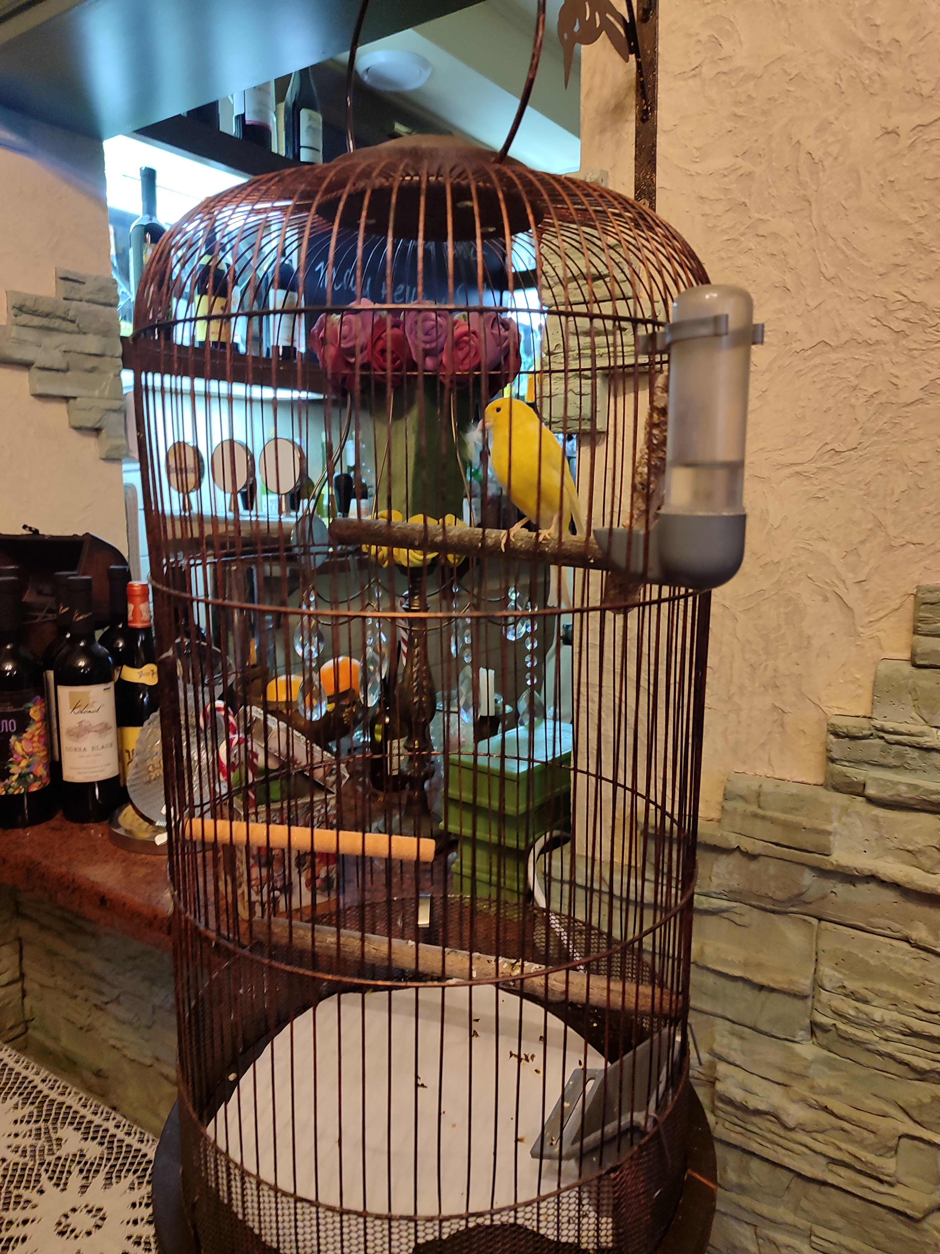 Madame Boucher image 2