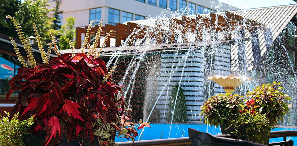 У Фонтана image 3