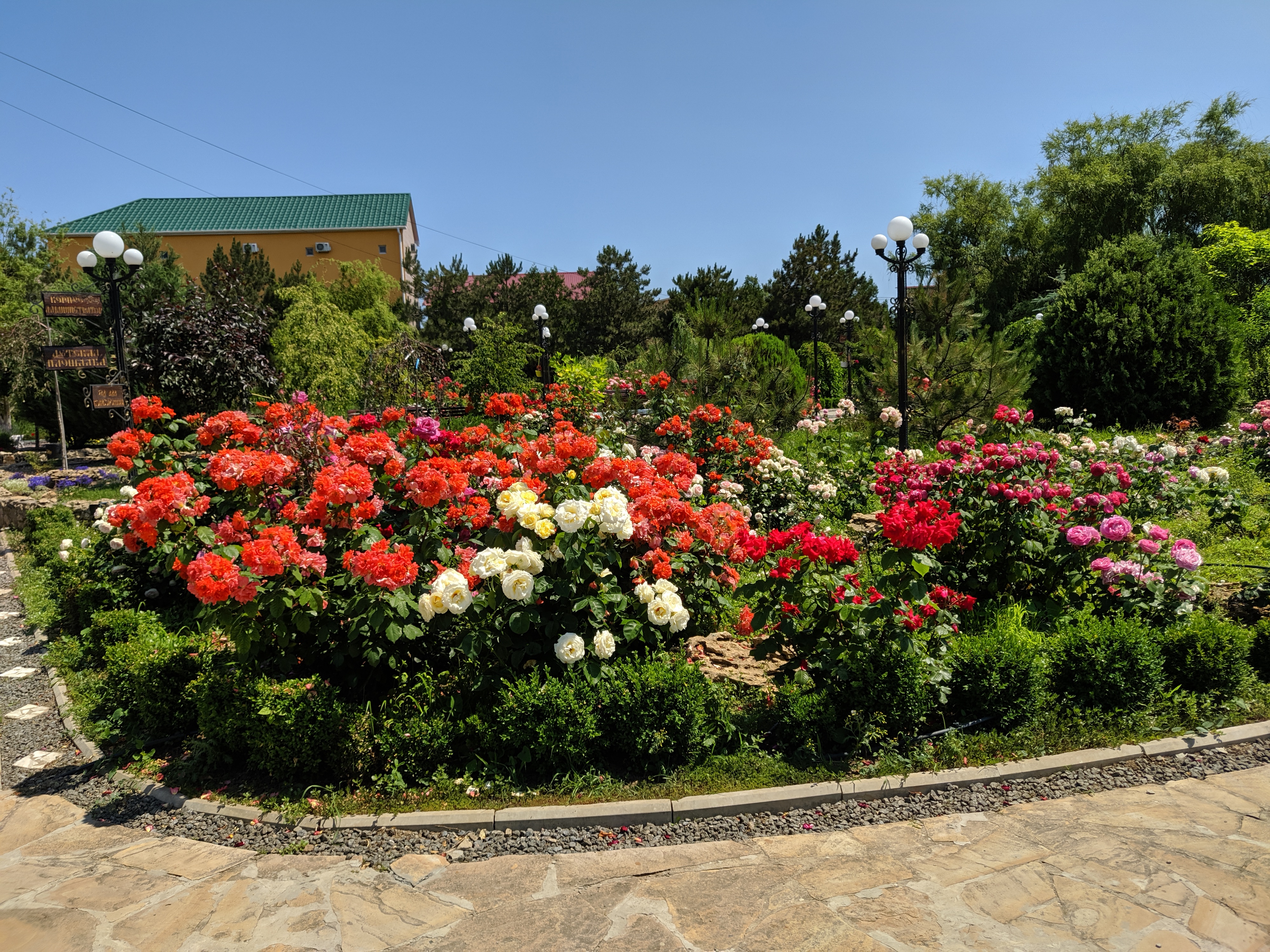 Ноев ковчег image 2