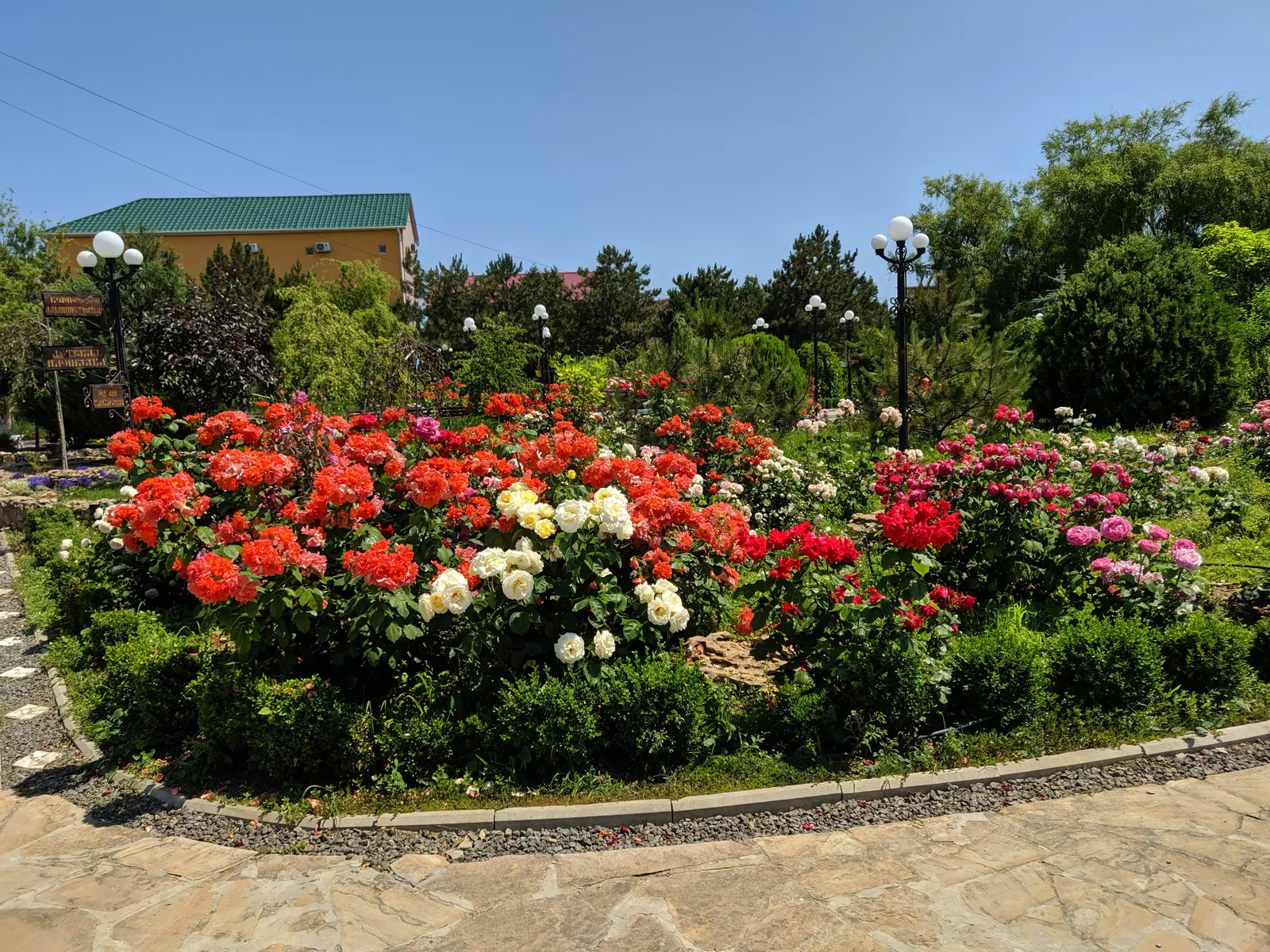 Ноев ковчег image 2