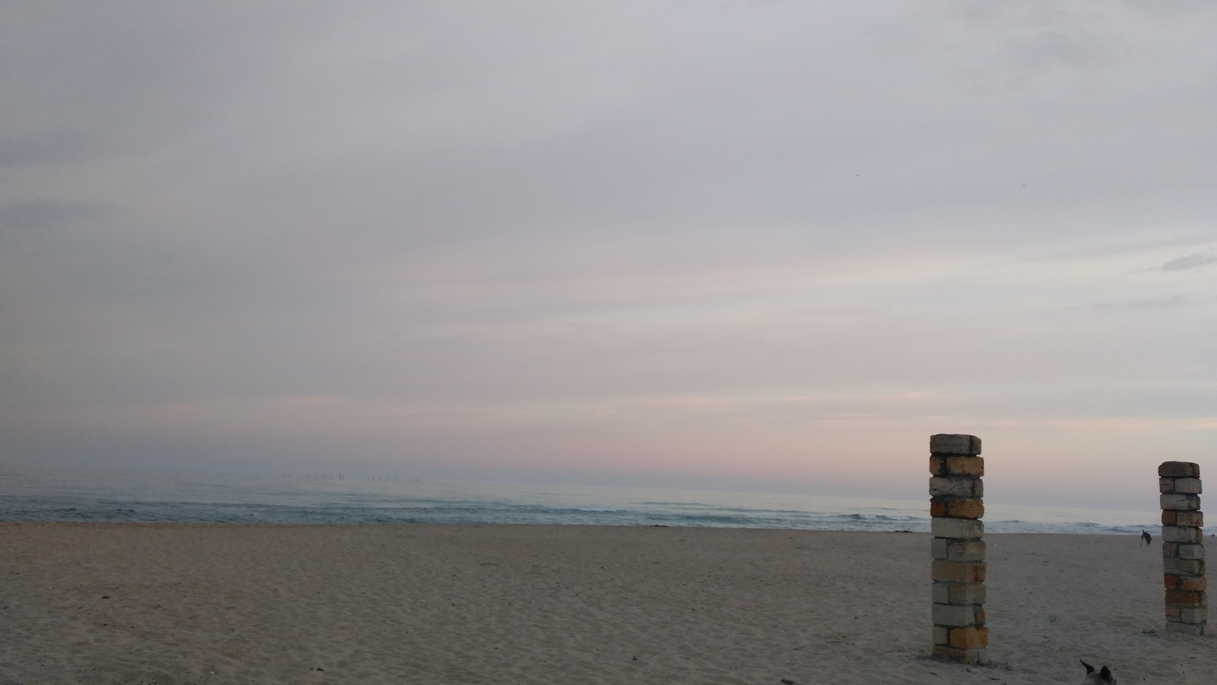 Ноев ковчег image 7