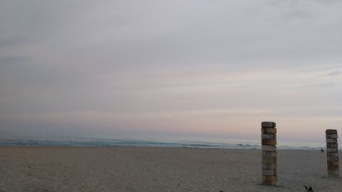 Ноев ковчег image 7