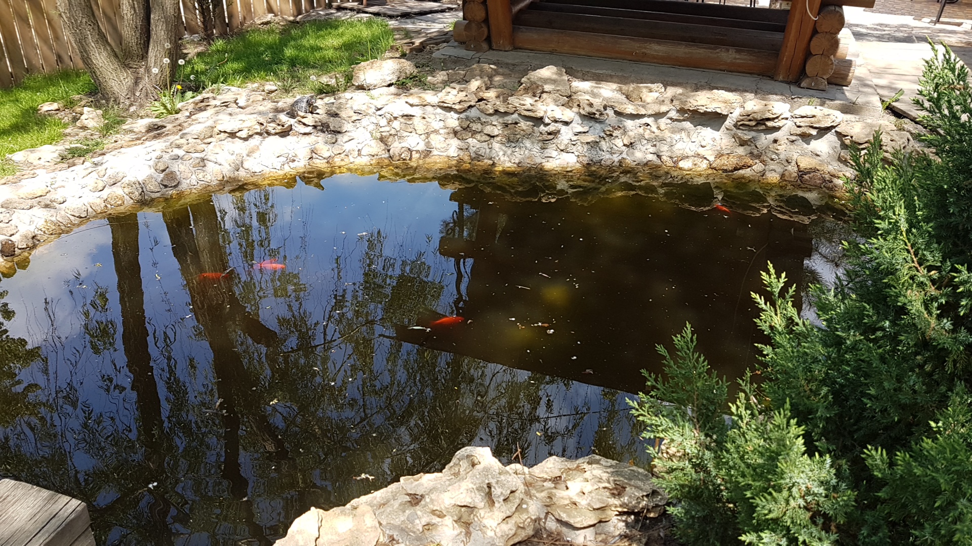 Restoran "Khyzhyna" image 9