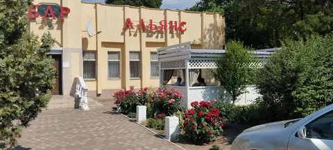 Alʹyans image 1