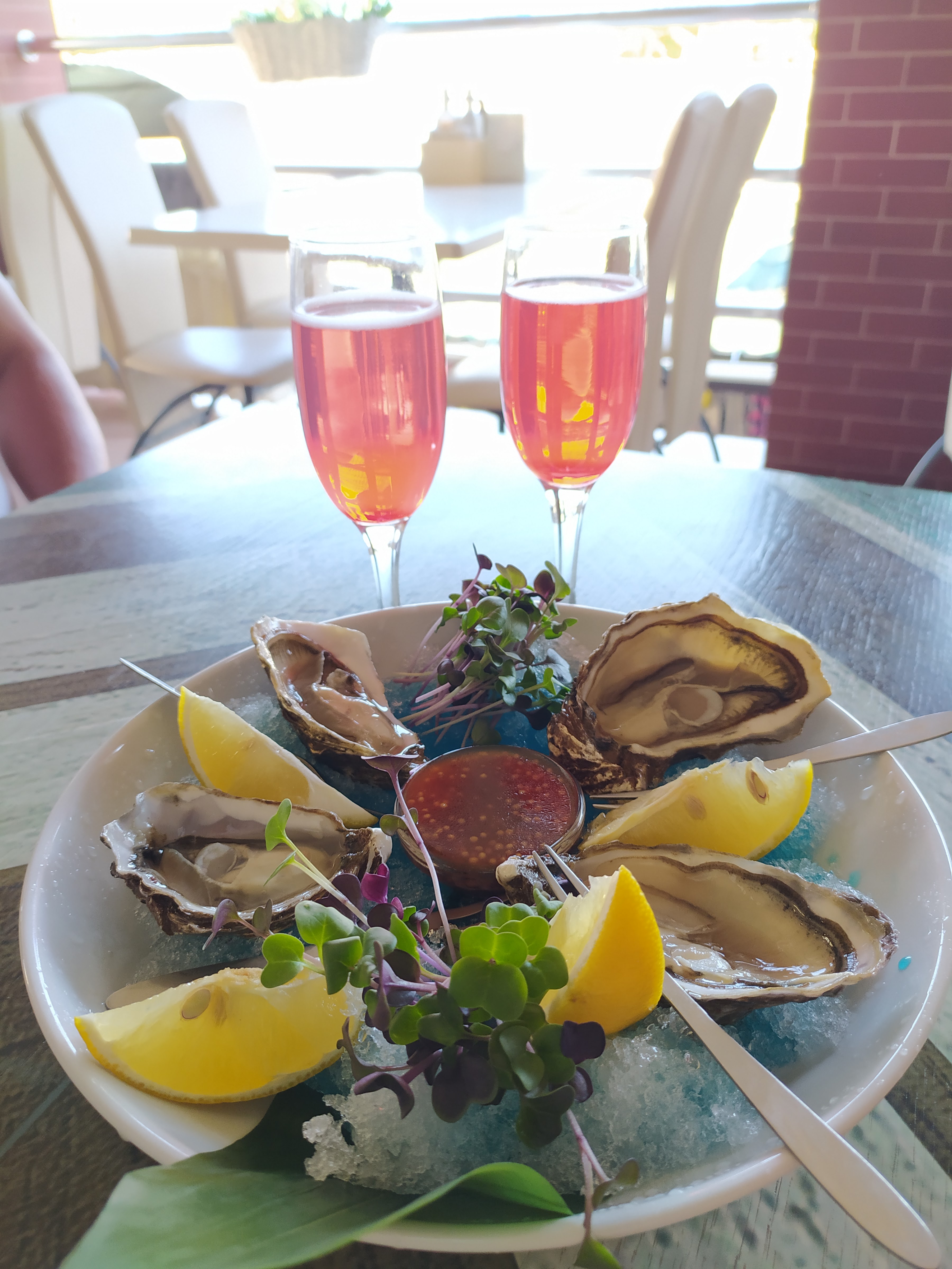 Kambuz Troyanda Vitriv image 9