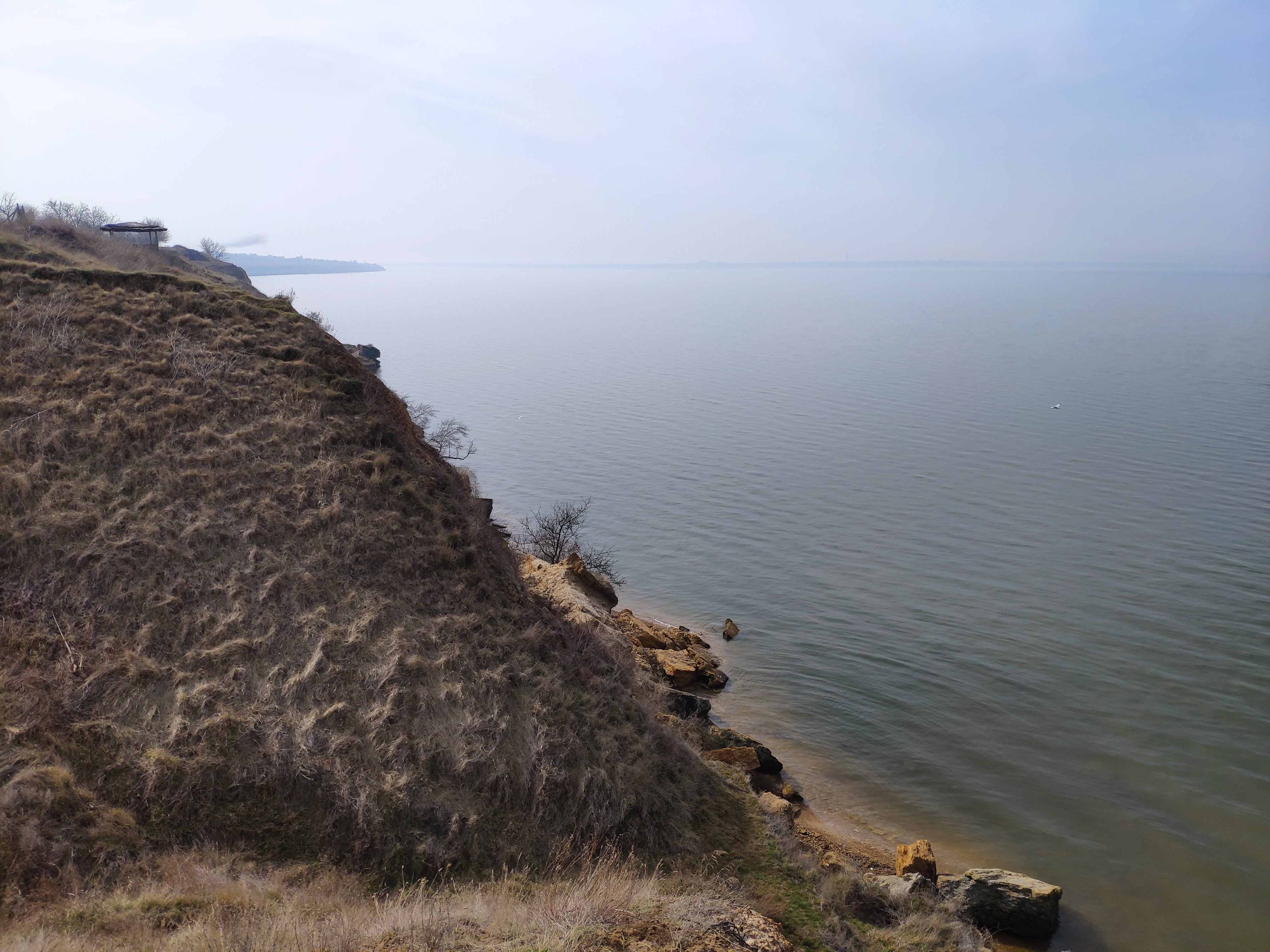 Feniks image 3