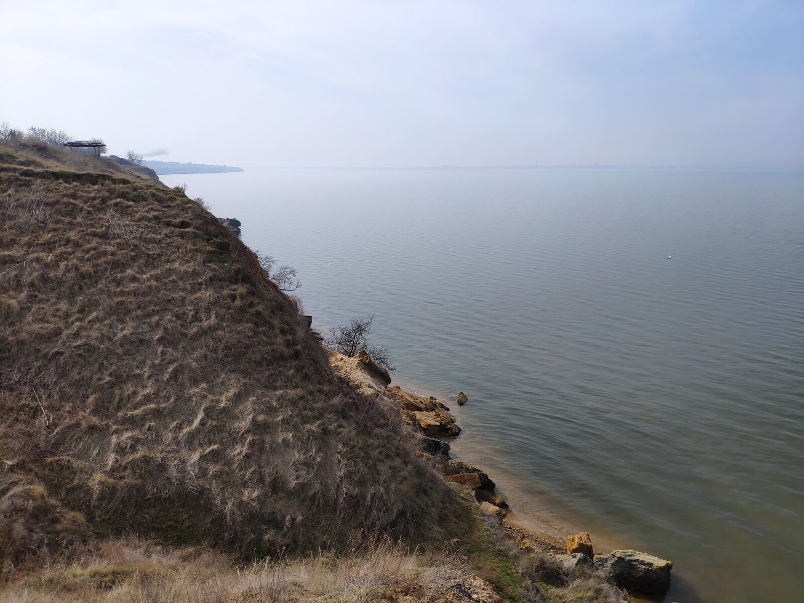 Feniks image 3