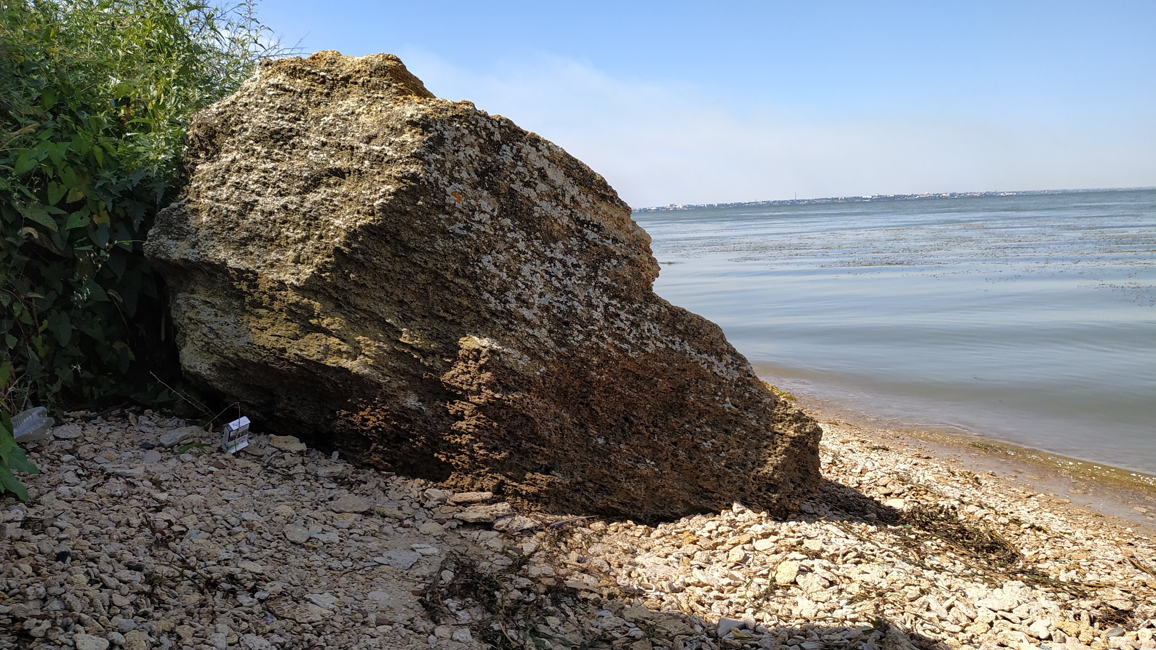 Feniks image 10