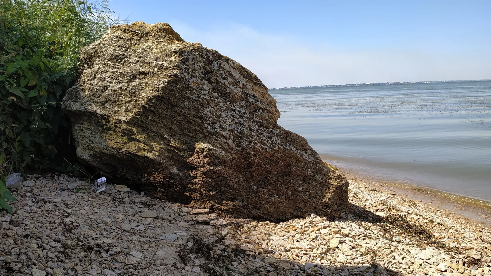 Feniks image 10