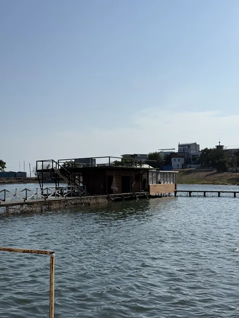 Bukhta 116 image 4