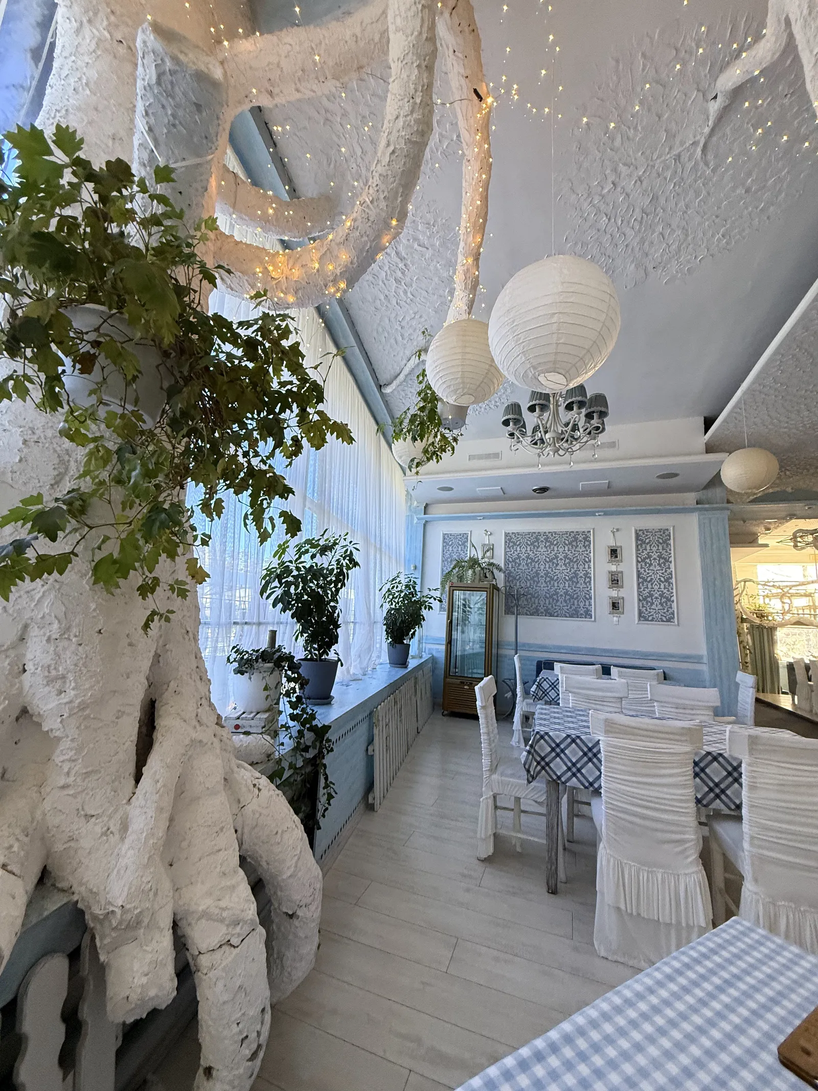 Filiya image 9