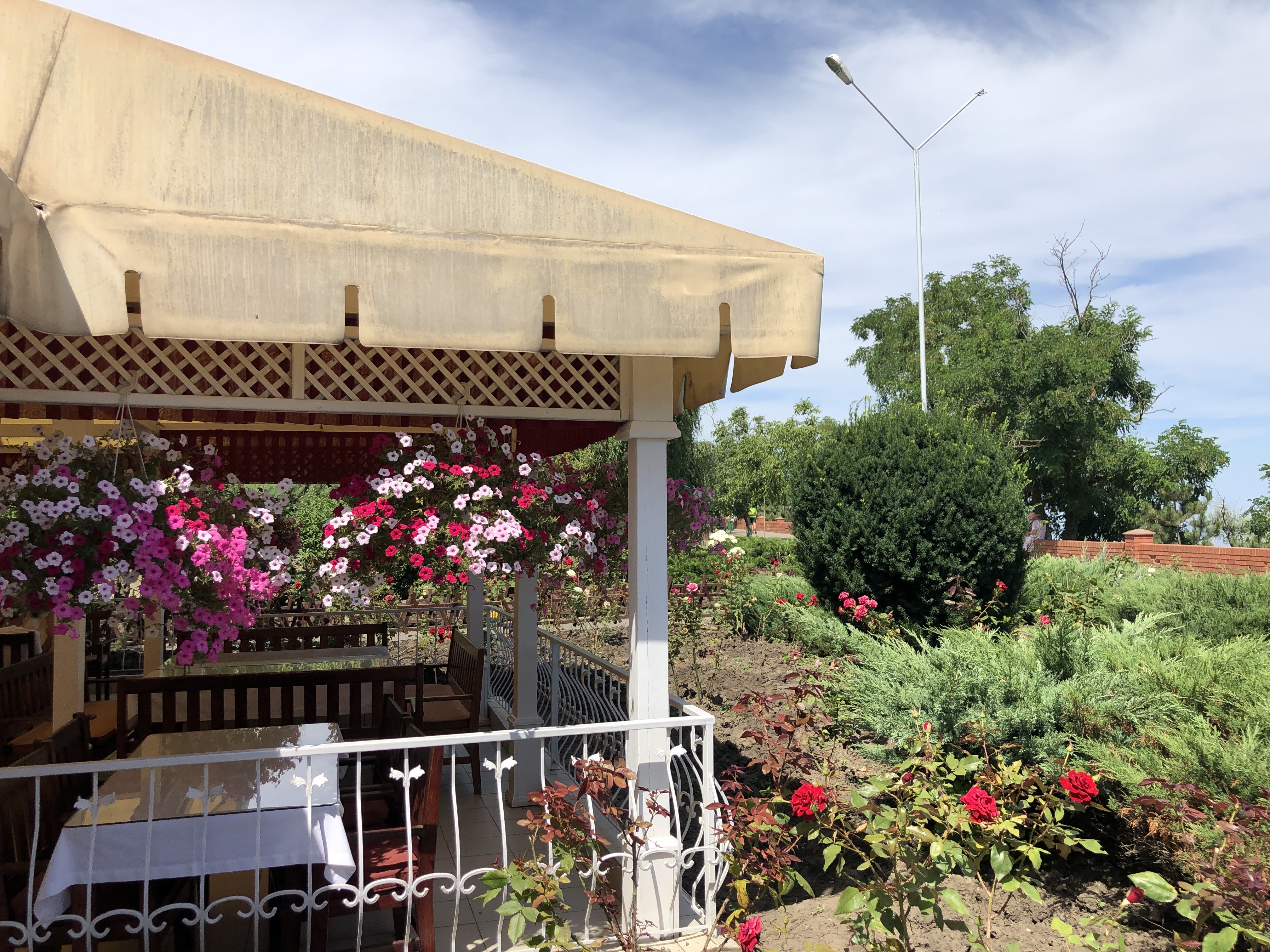 Kafe Leo Chernomorsk image 5