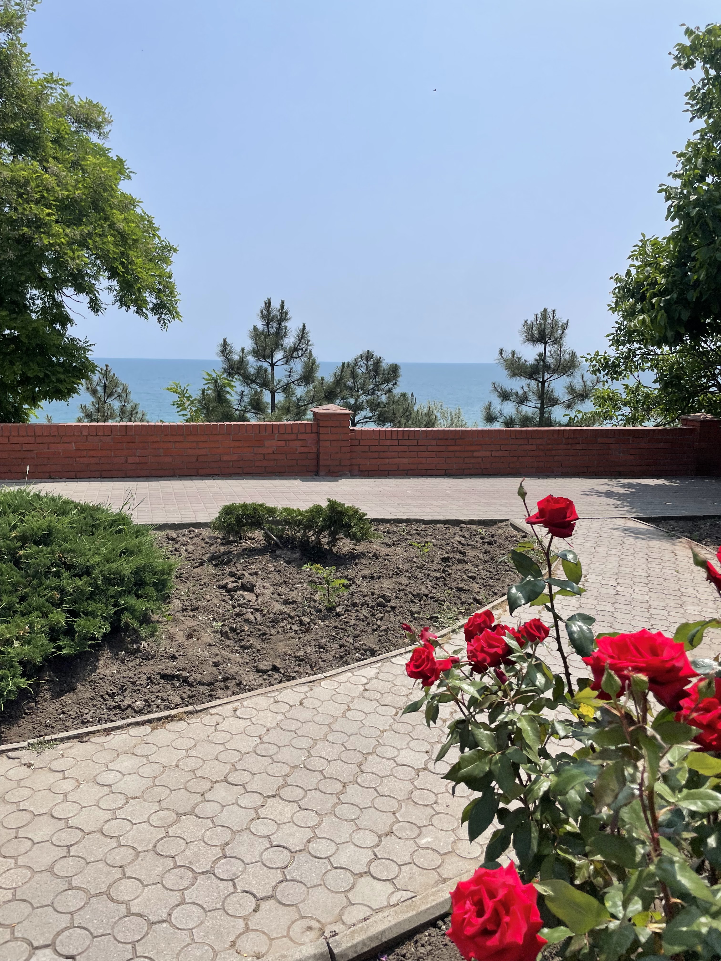 Kafe Leo Chernomorsk image 6