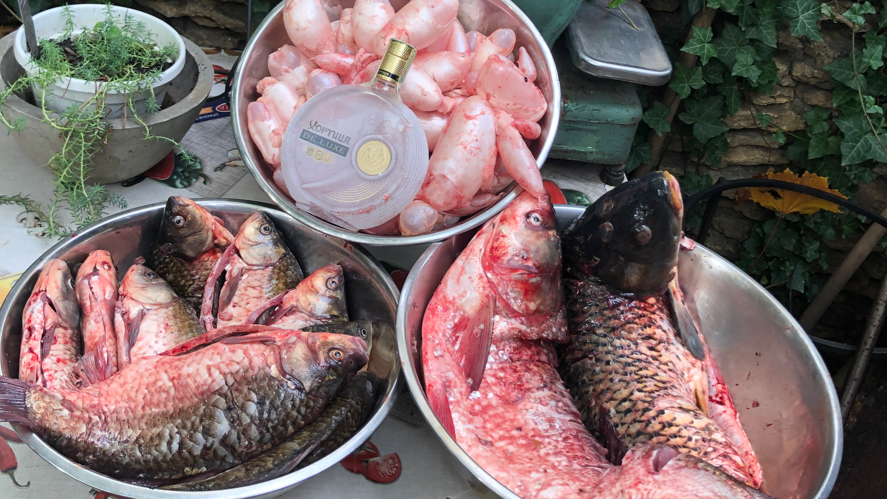 Arkhimus Архимус image 2