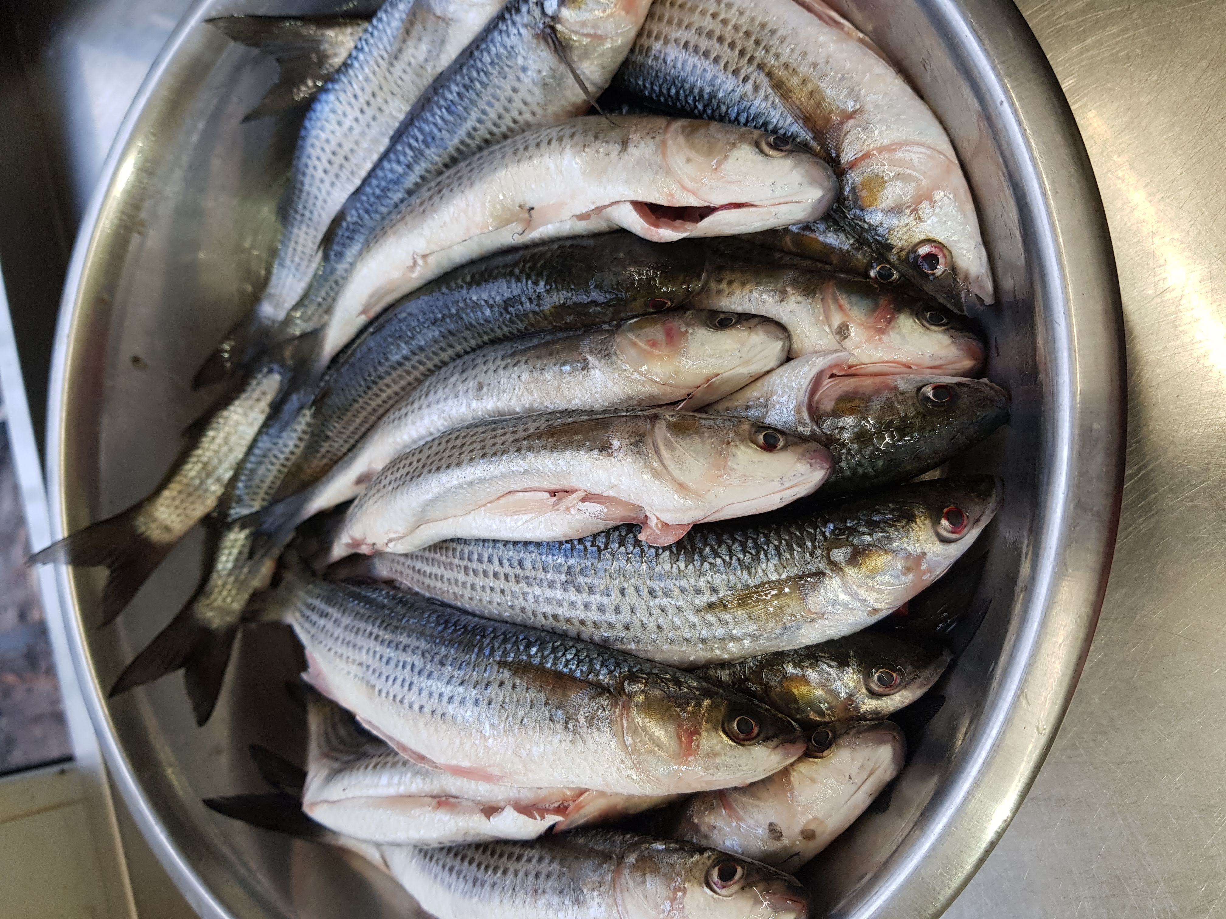 Arkhimus Архимус image 4