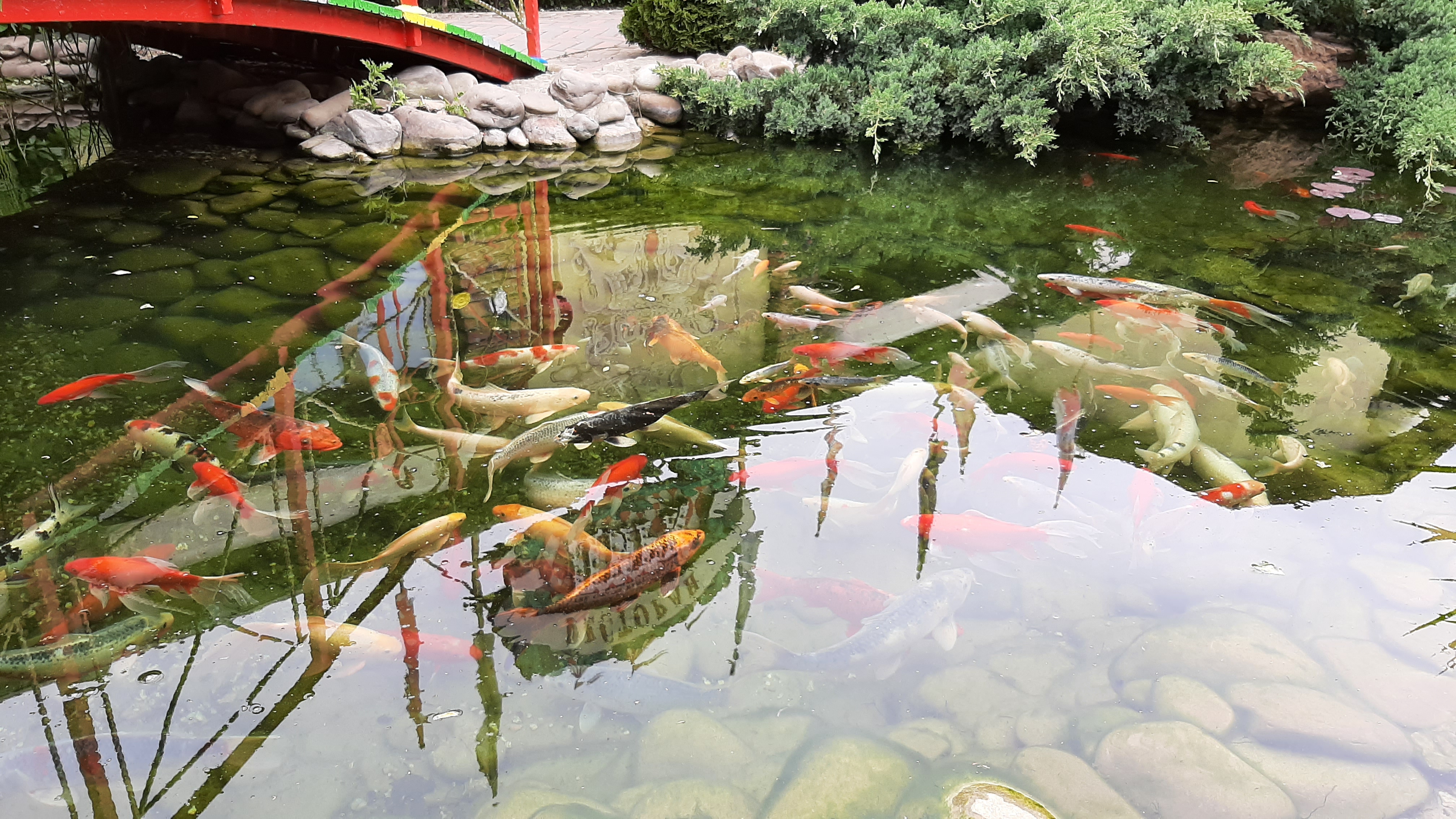 Семейный ресторан Цирк image 4