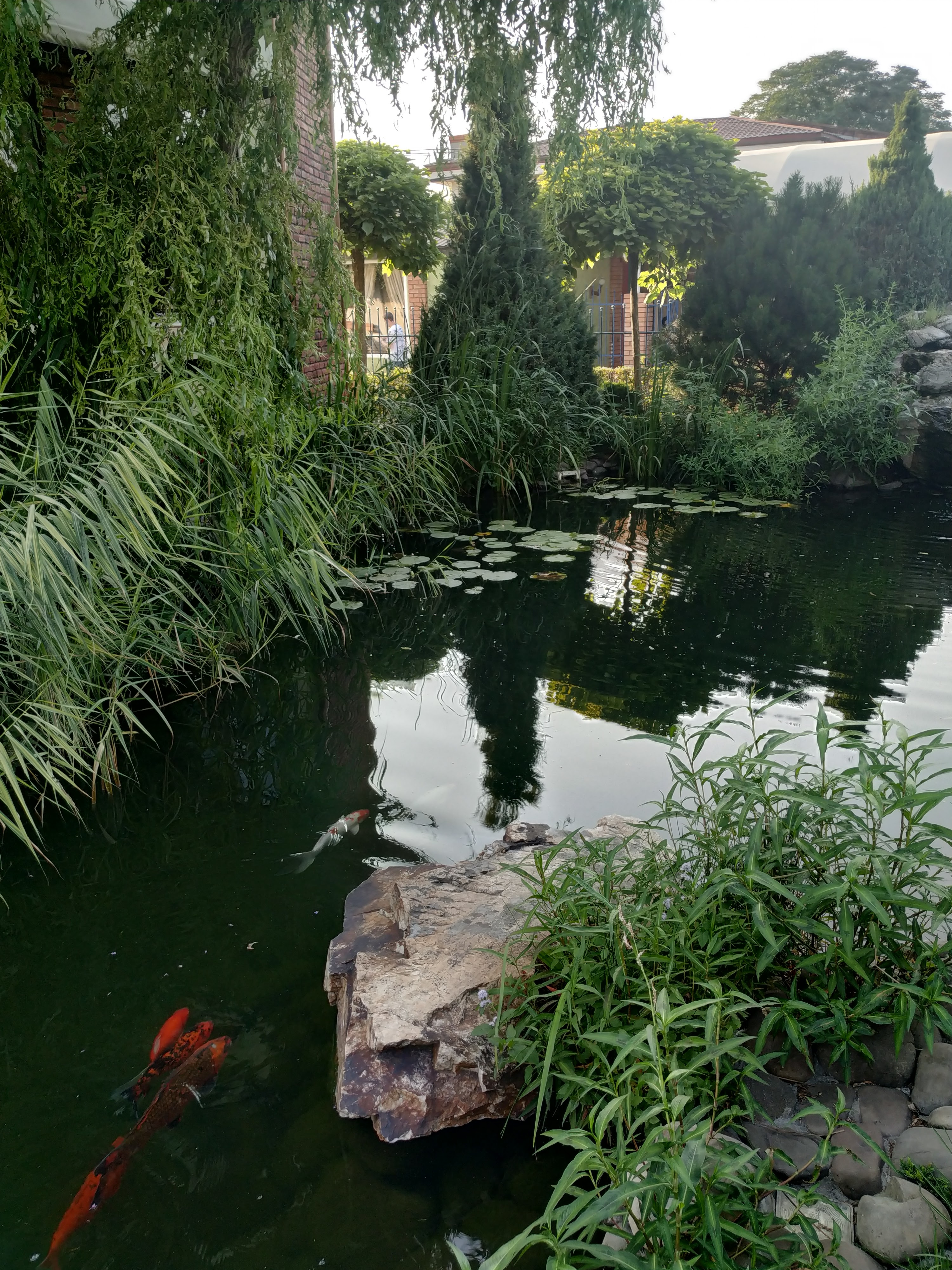 Семейный ресторан Цирк image 10