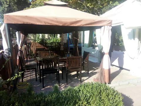 Клён image 6