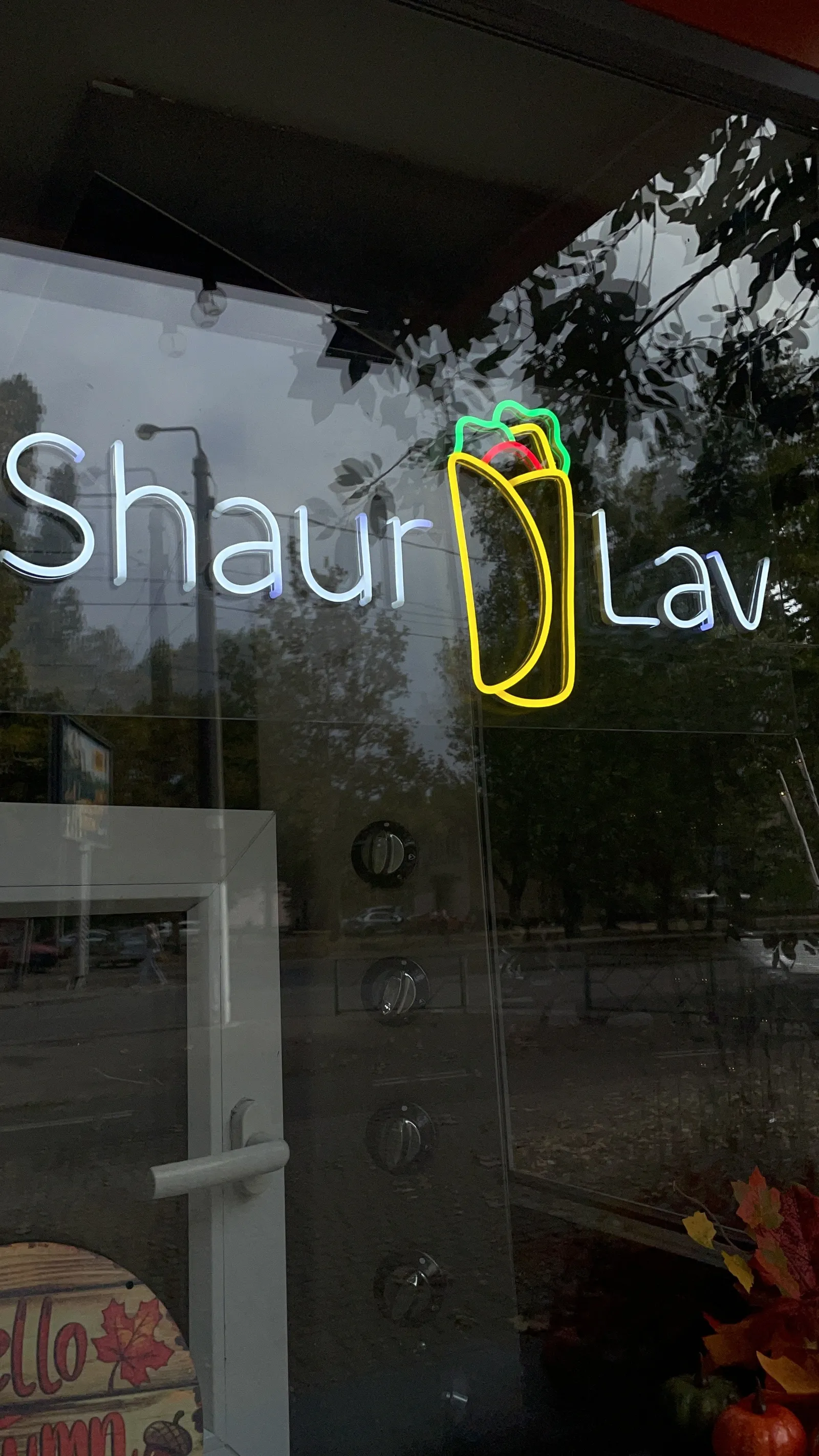 ShaurLav image 10