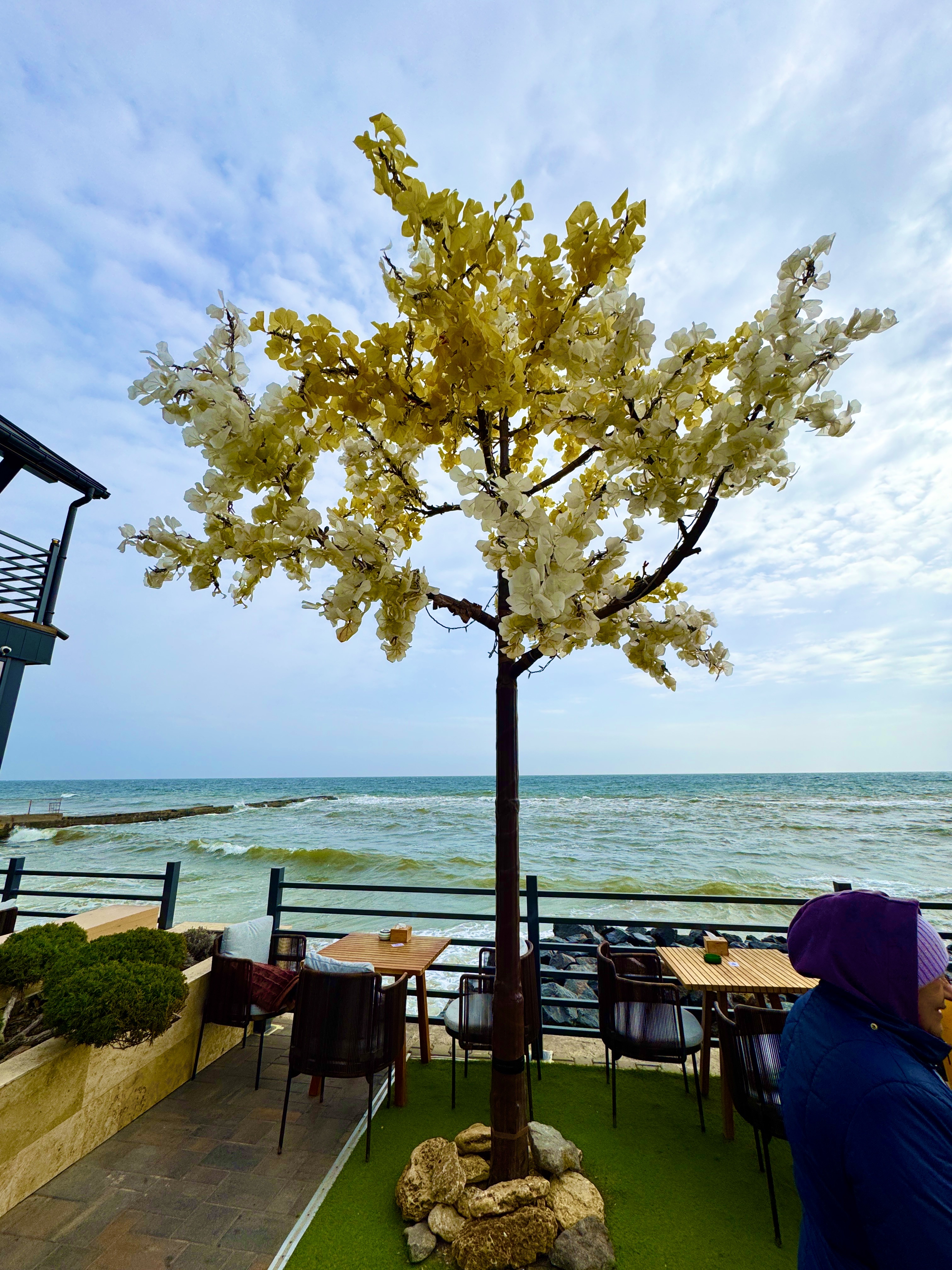 Рибачок image 4