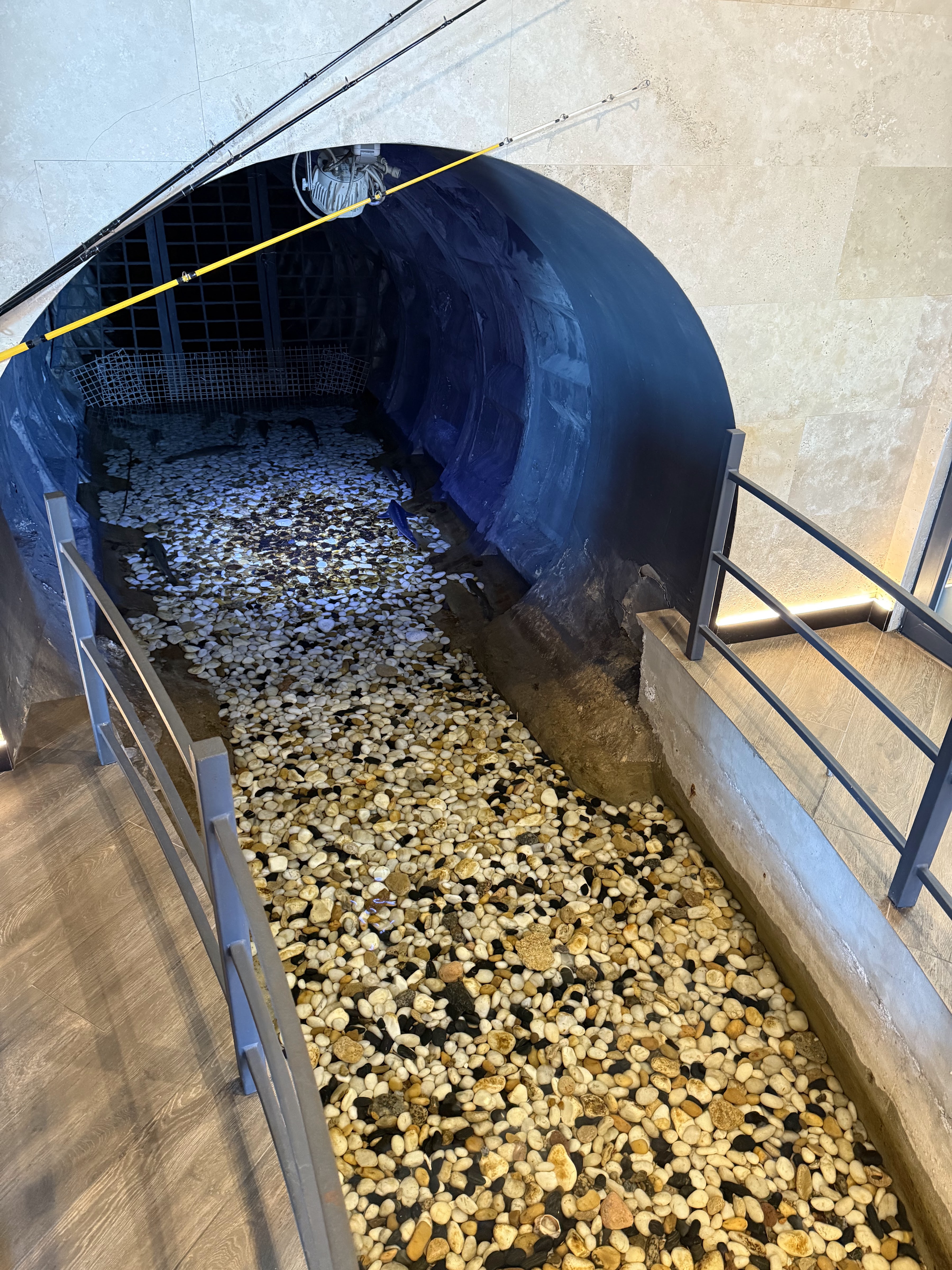 Рибачок image 10