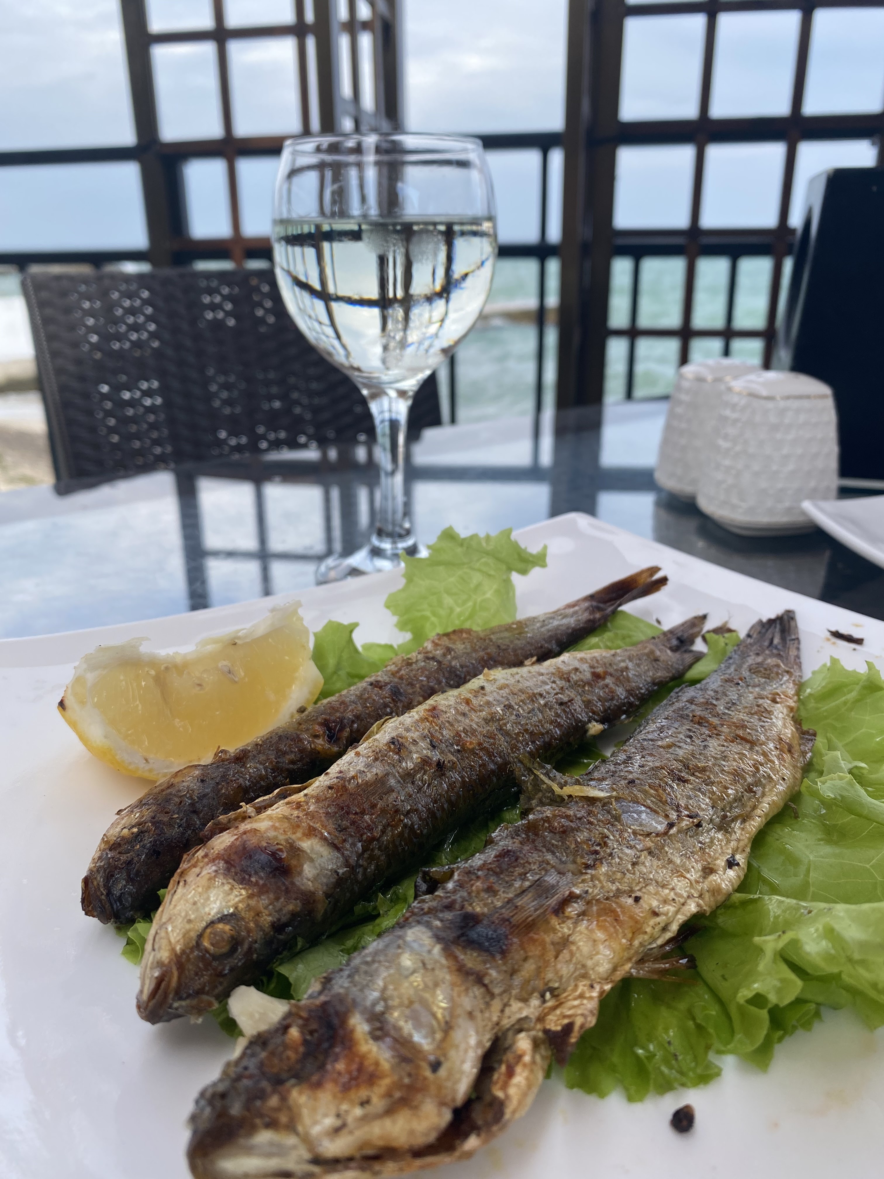 Бризмарин image 5