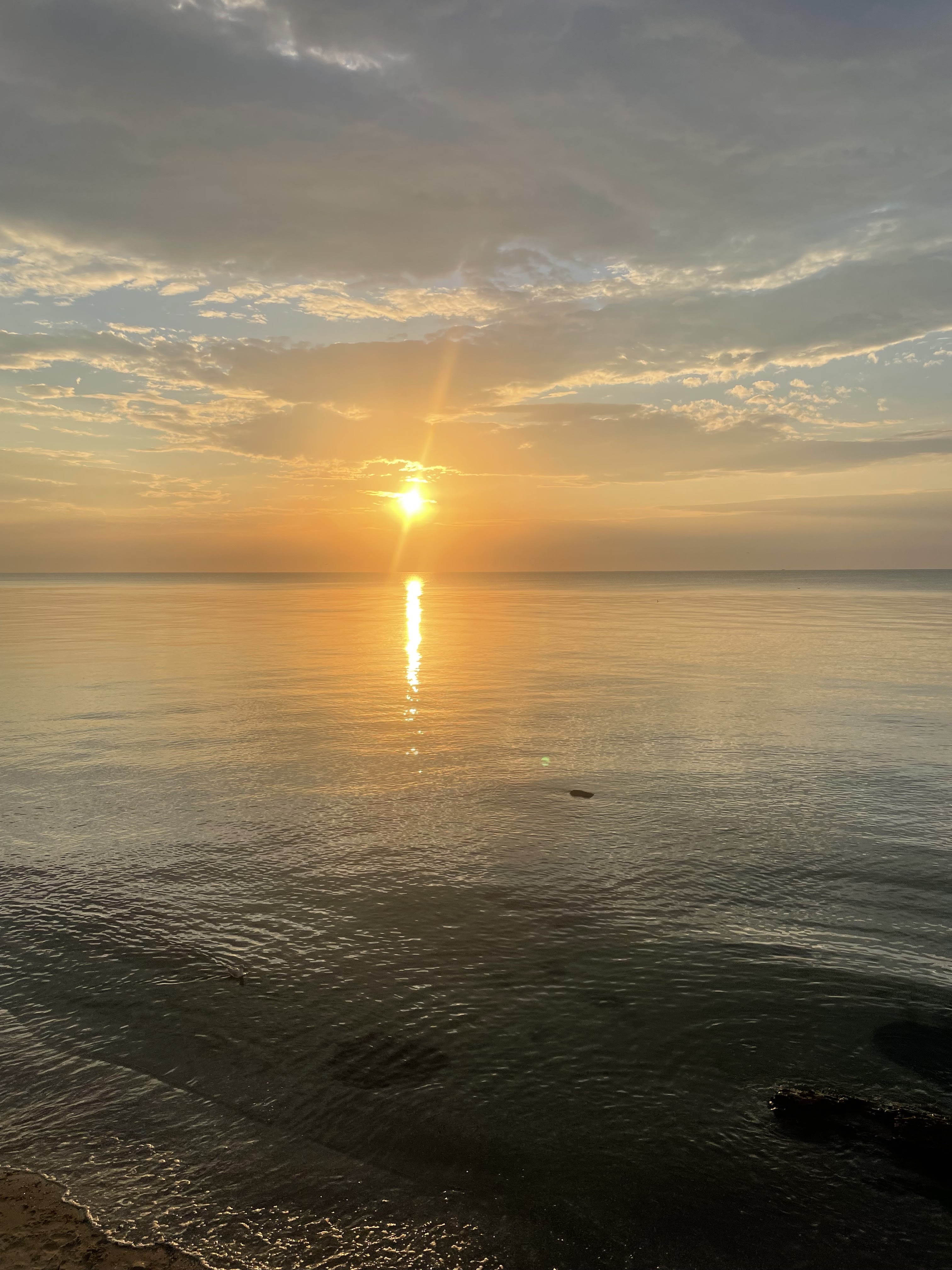 Бризмарин image 6