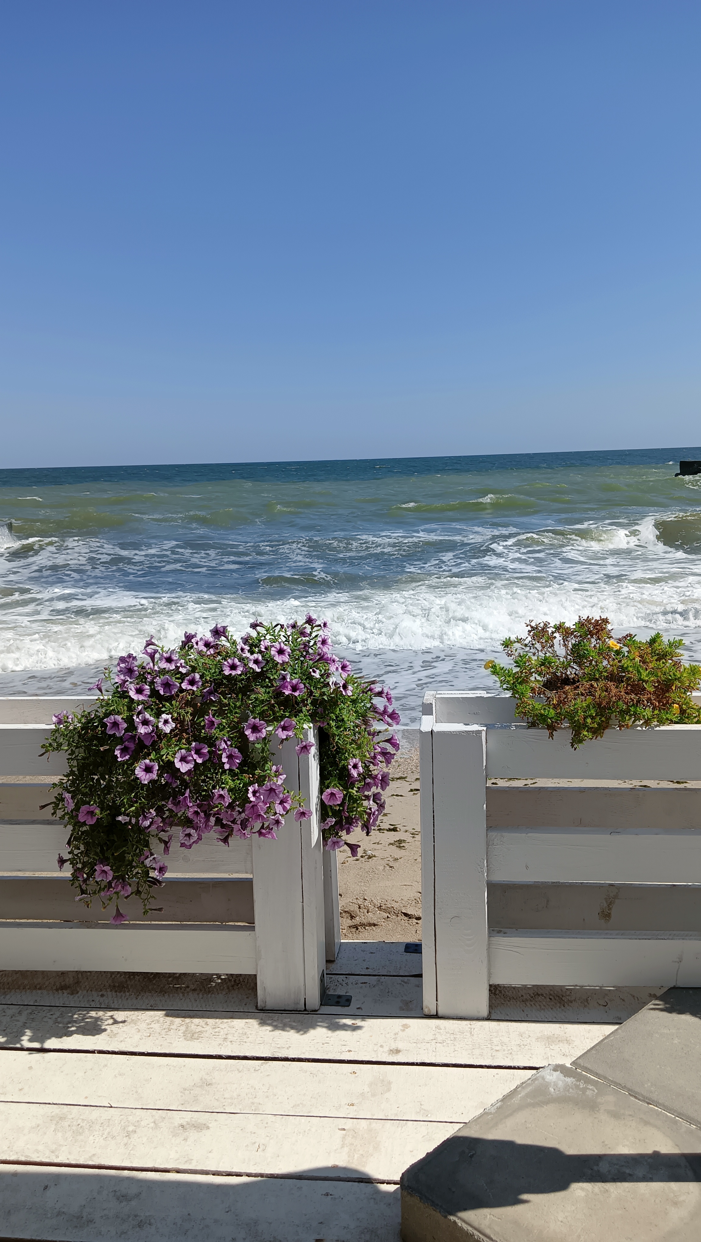 Бризмарин image 10