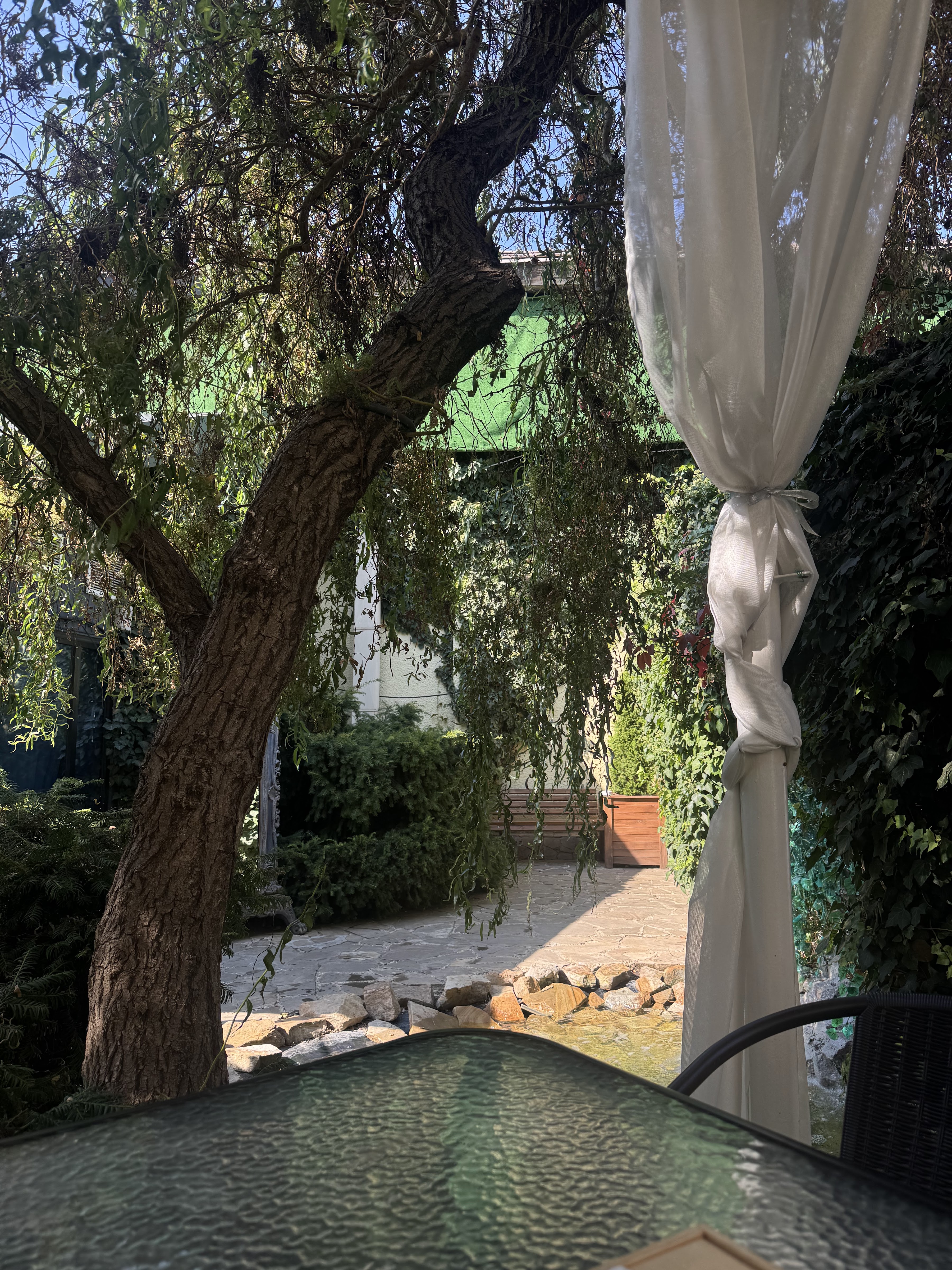 Ресторан ForRest image 8