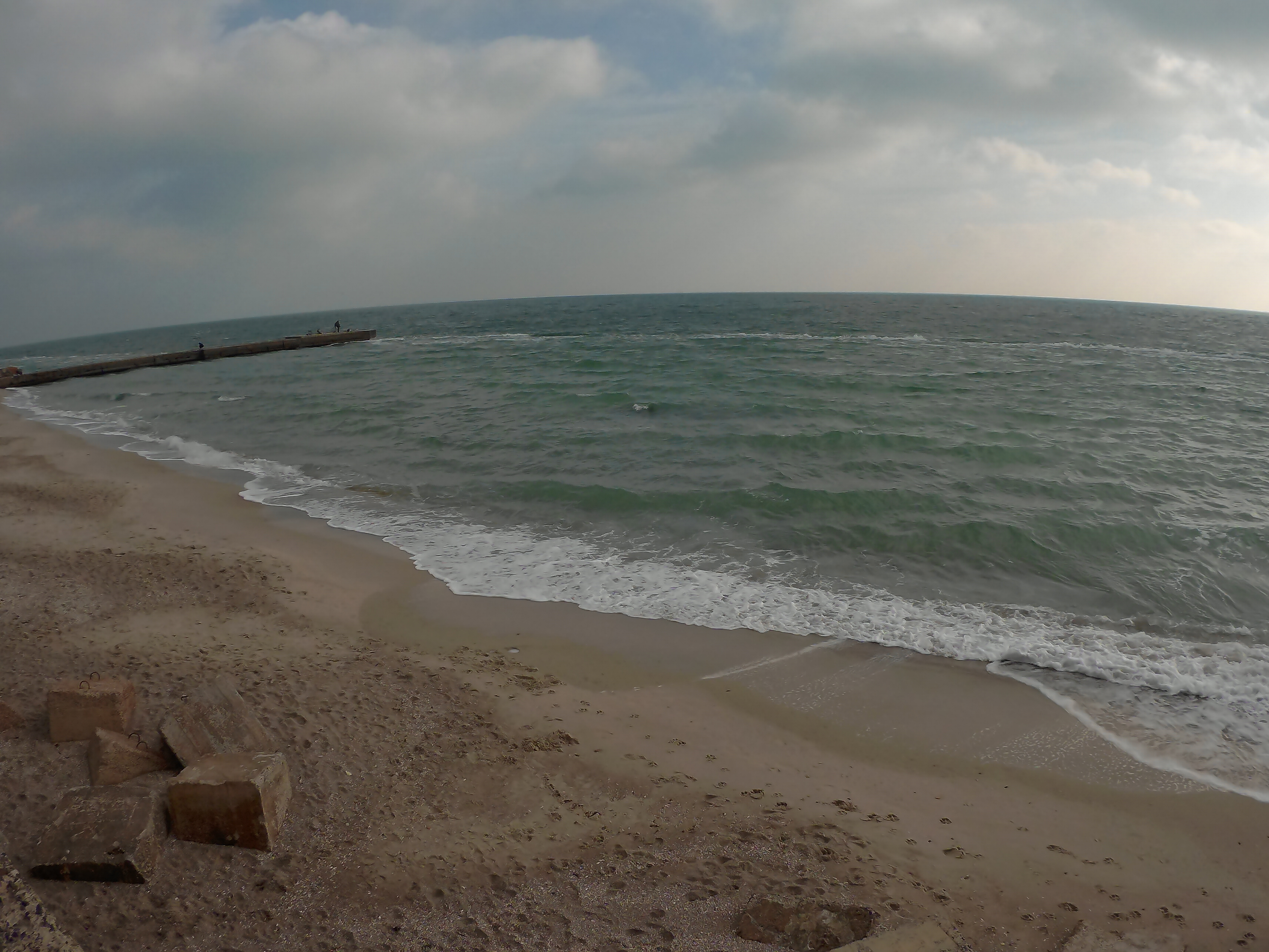 PUBLIC beach & club image 7